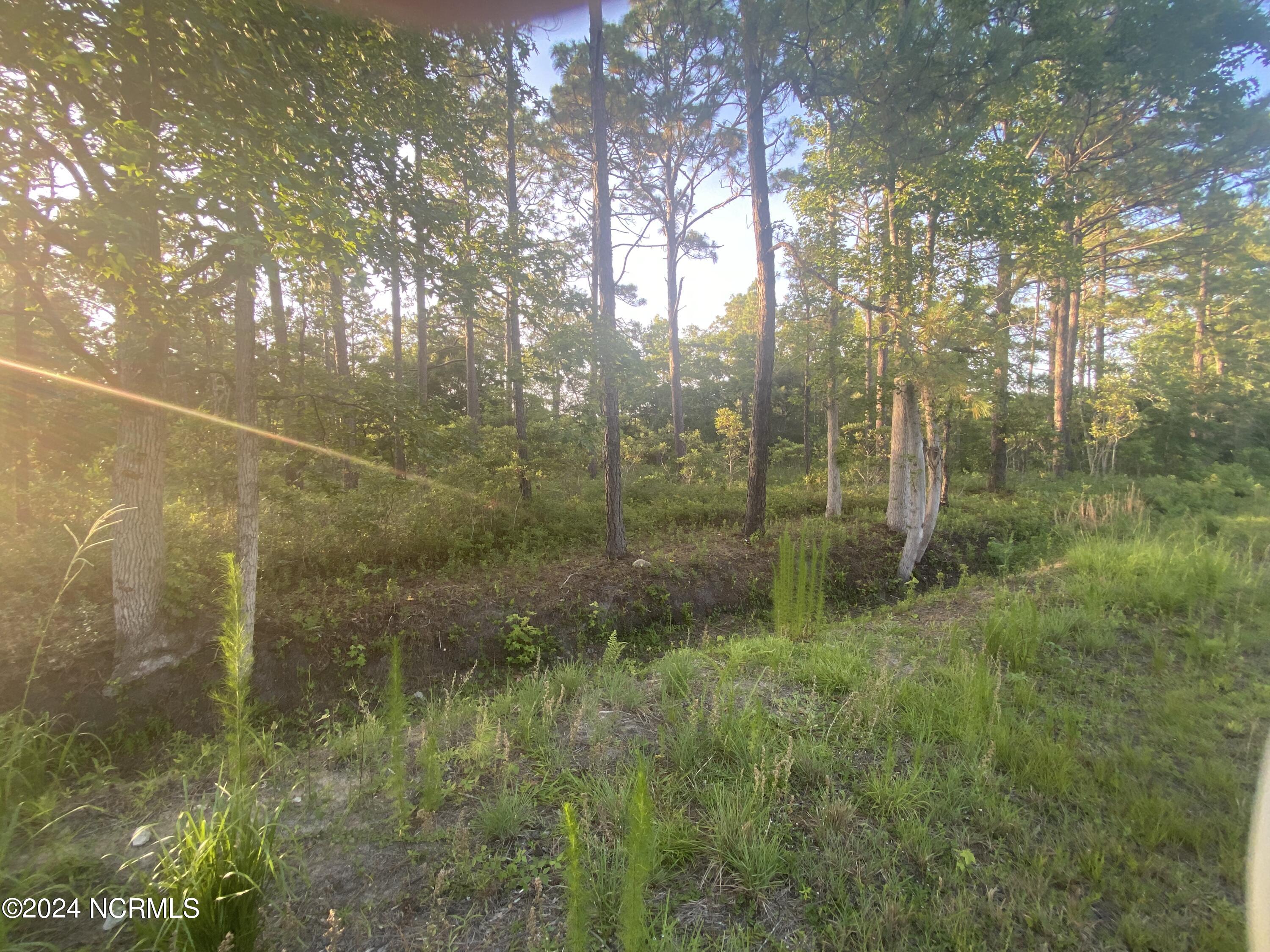 2 Thicketwood Drive Property Photo 5