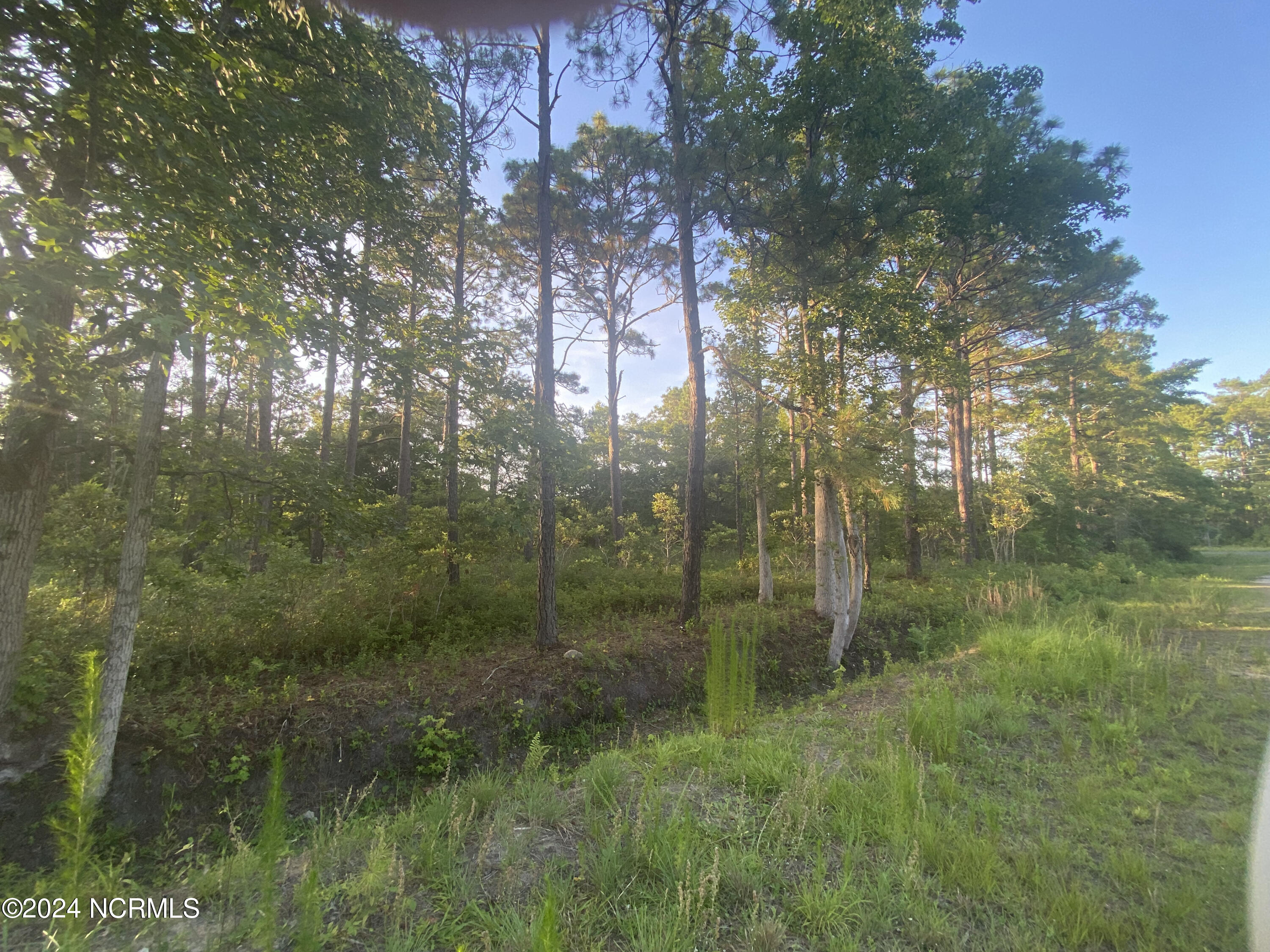 2 Thicketwood Drive Property Photo 6