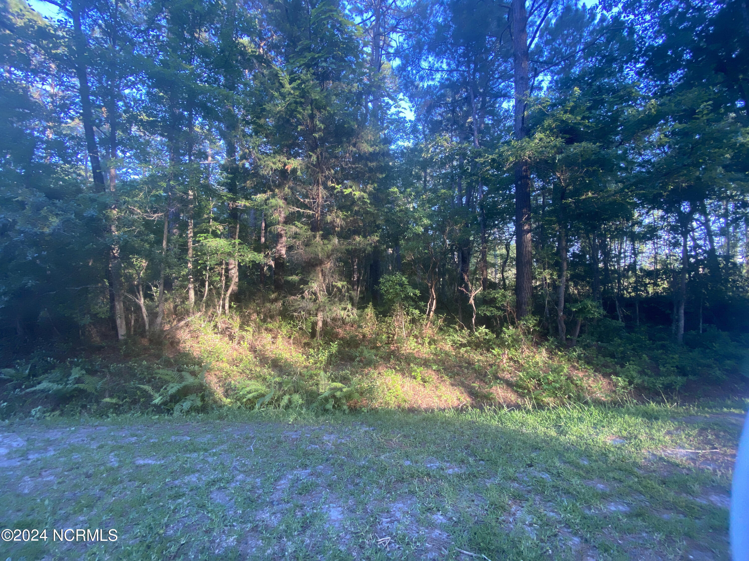 5 Deer Run Road Property Photo 2