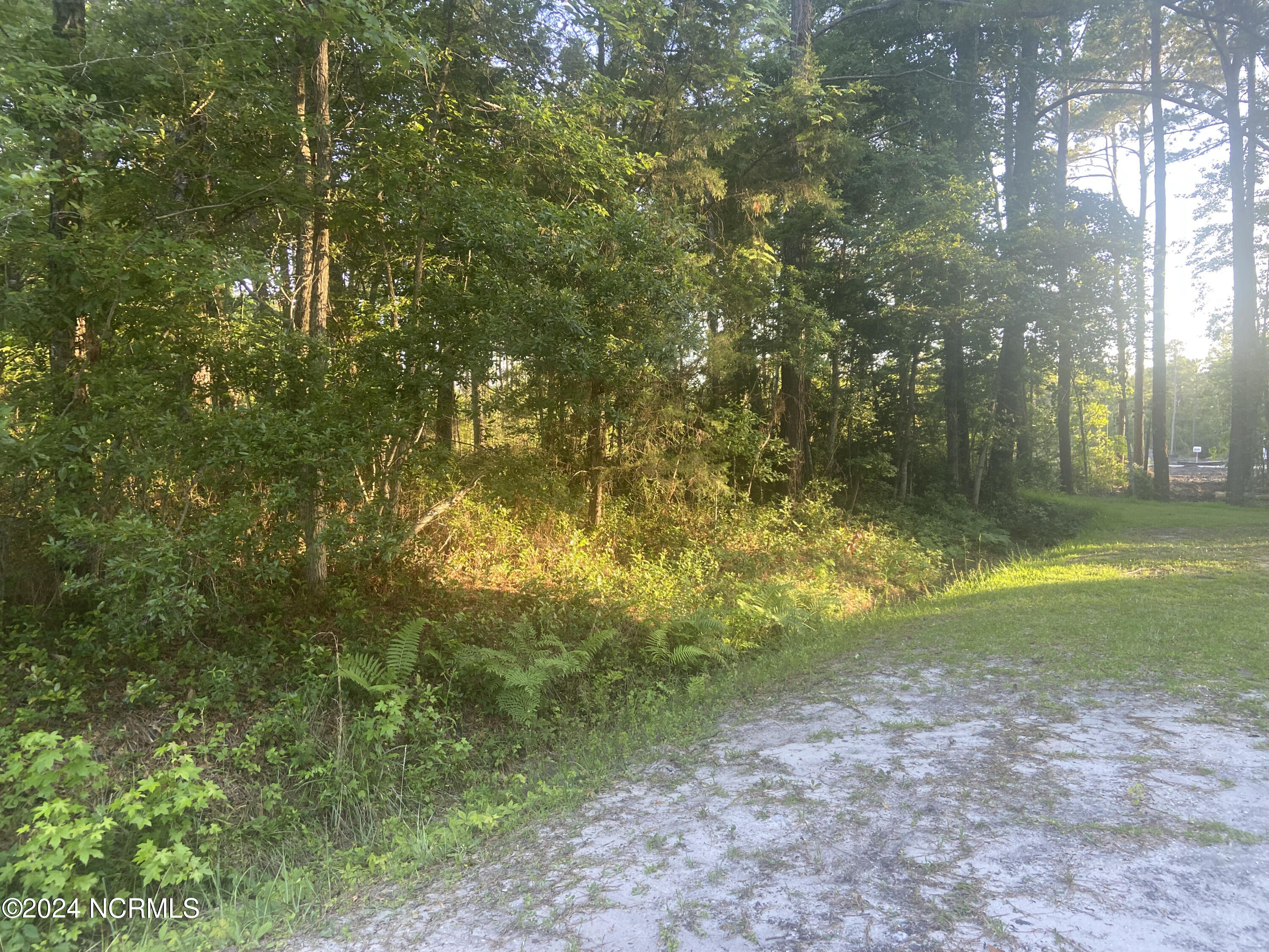 5 Deer Run Road Property Photo 6