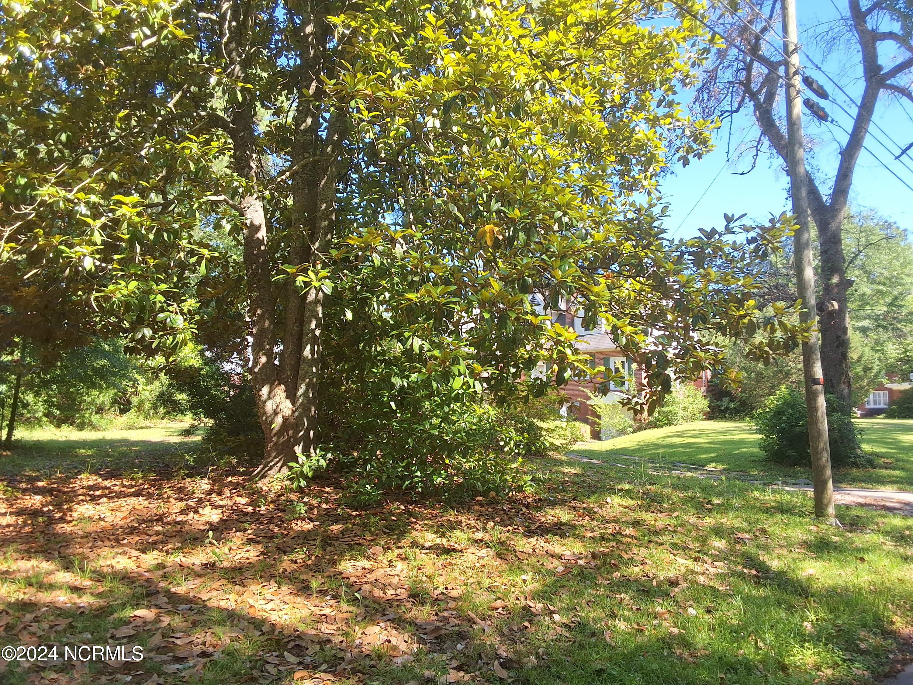 201 E Bell Street Property Photo 64