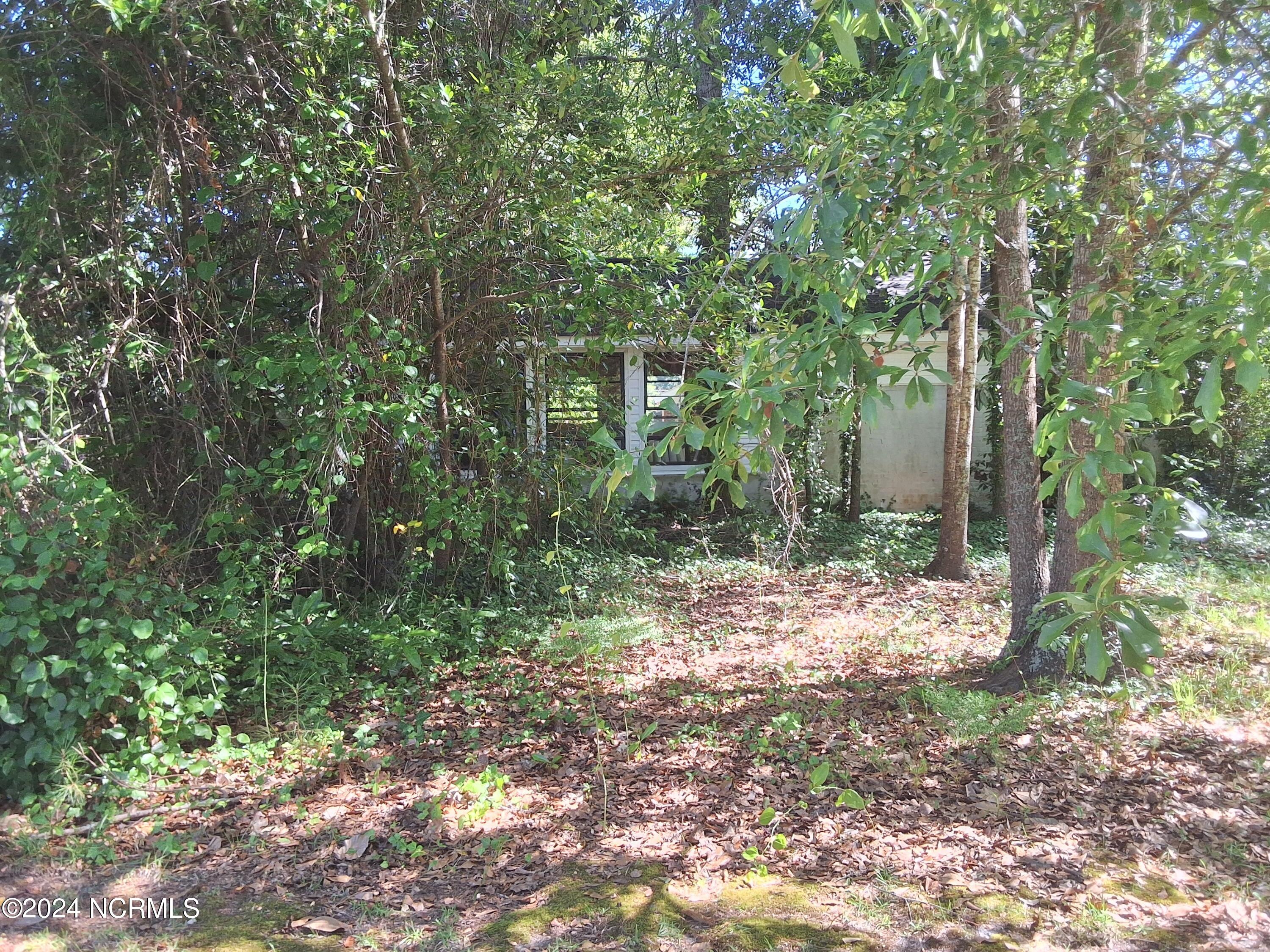 201 E Bell Street Property Photo 94
