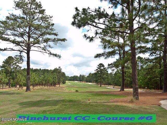 294 Juniper Creek Boulevard Property Photo 76