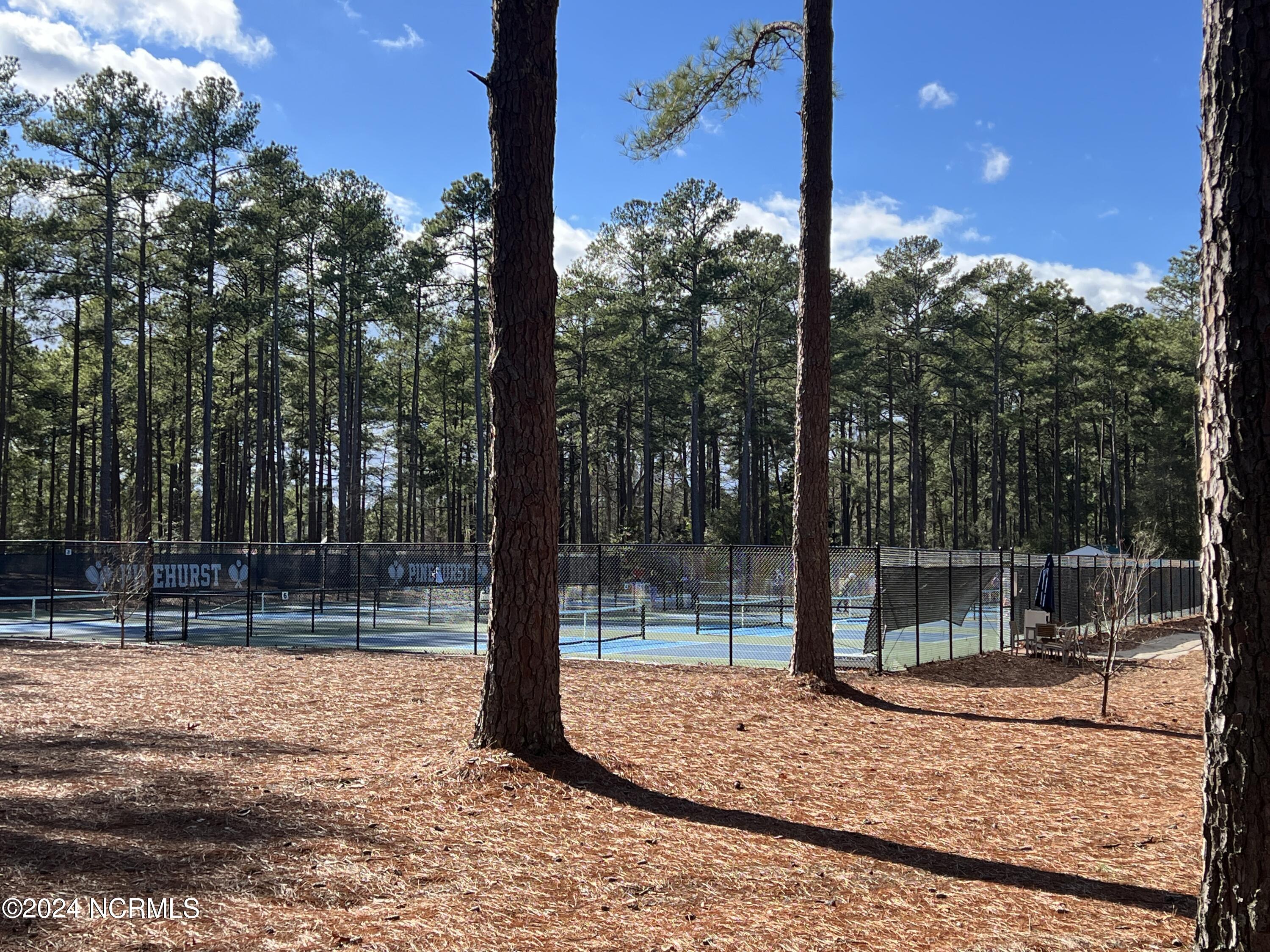 294 Juniper Creek Boulevard Property Photo 77