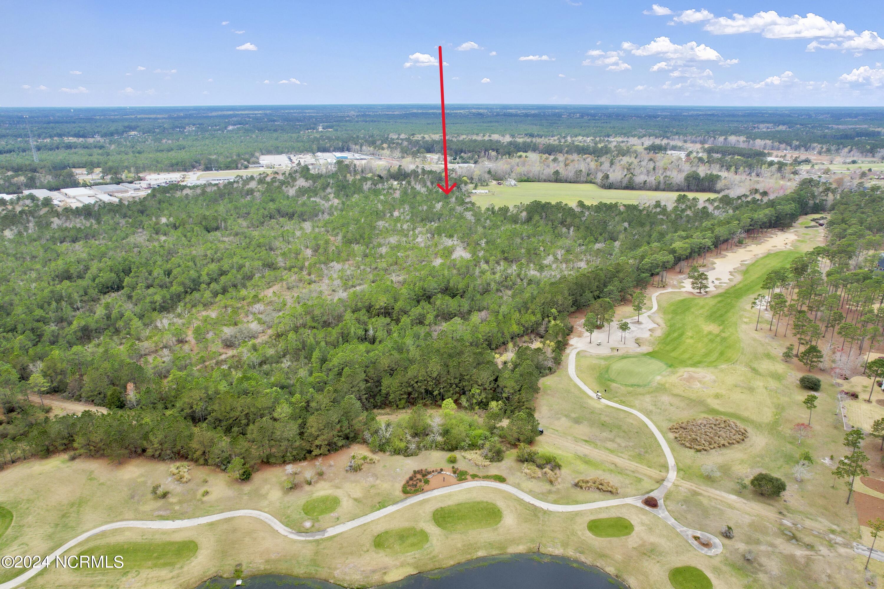 556 Harris Trail Property Photo 3