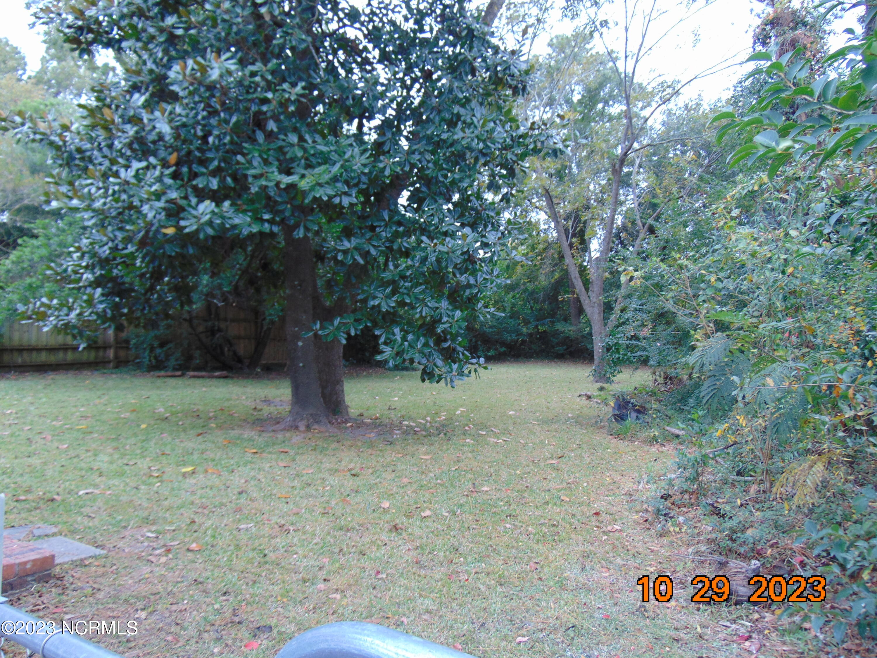 113 N 23rd Street Property Photo 4