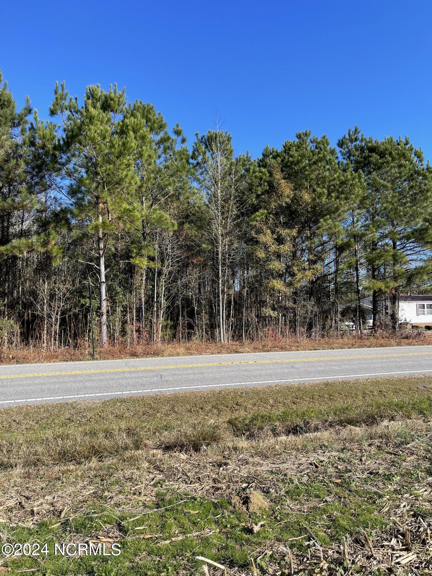 5466 Old Lumberton Road Property Photo 3