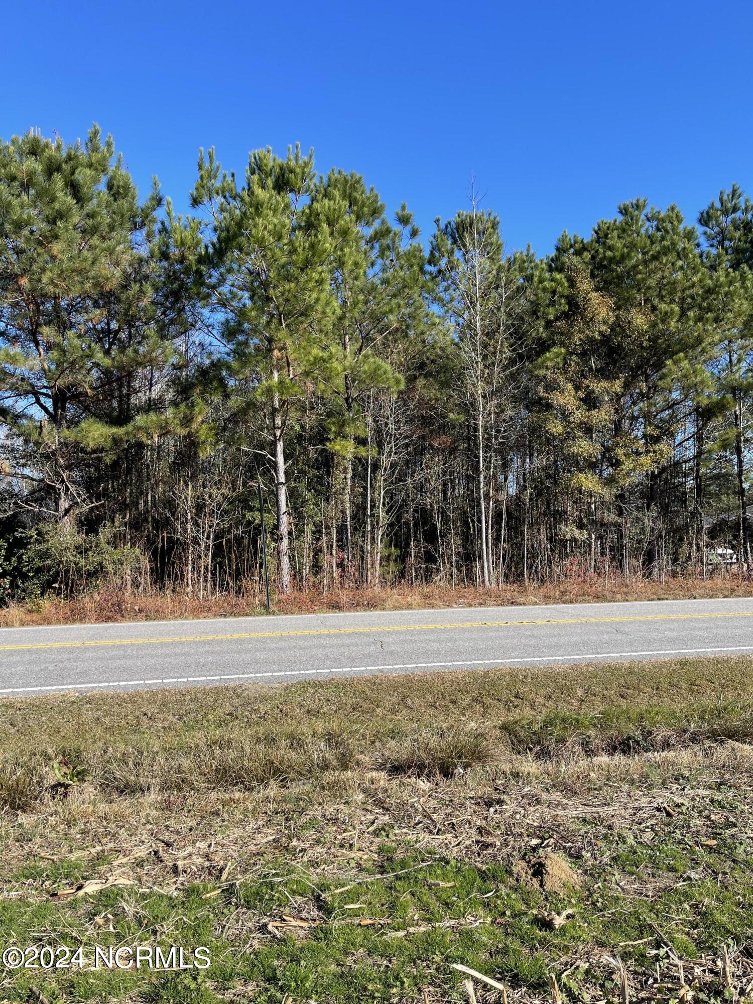 5466 Old Lumberton Road Property Photo 4