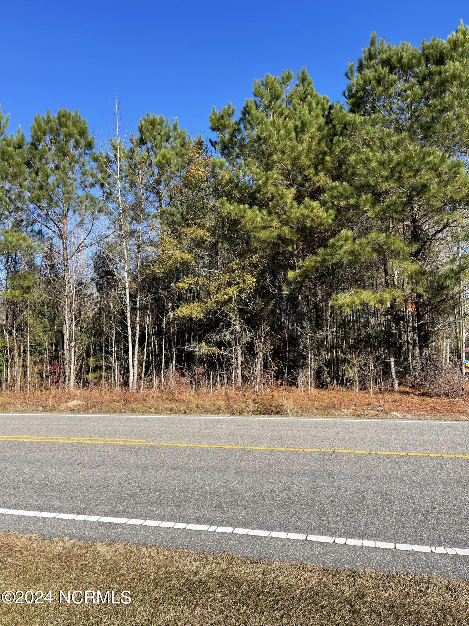 5466 Old Lumberton Road Property Photo 6