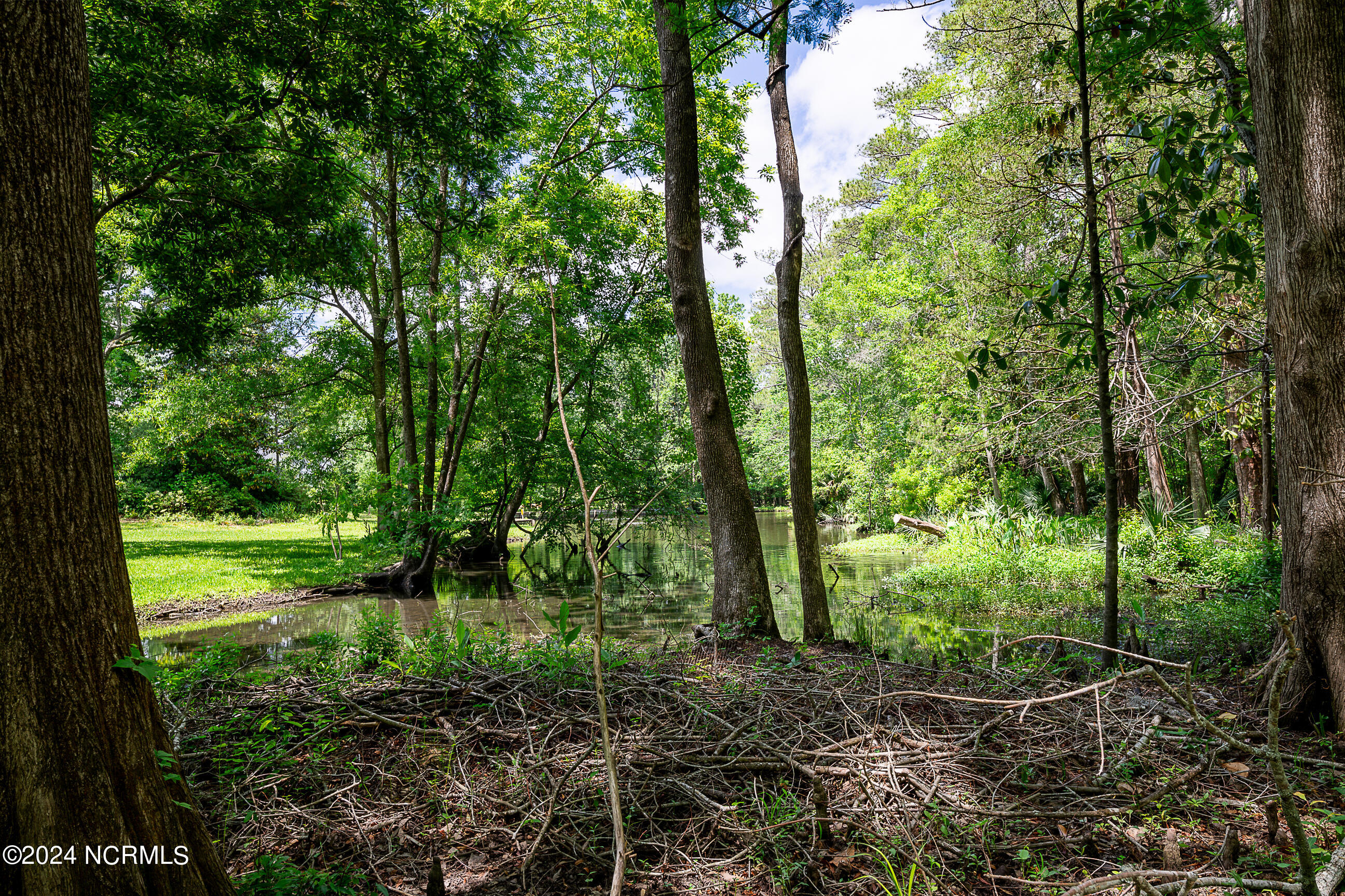 306 Woodland Drive Property Photo 59