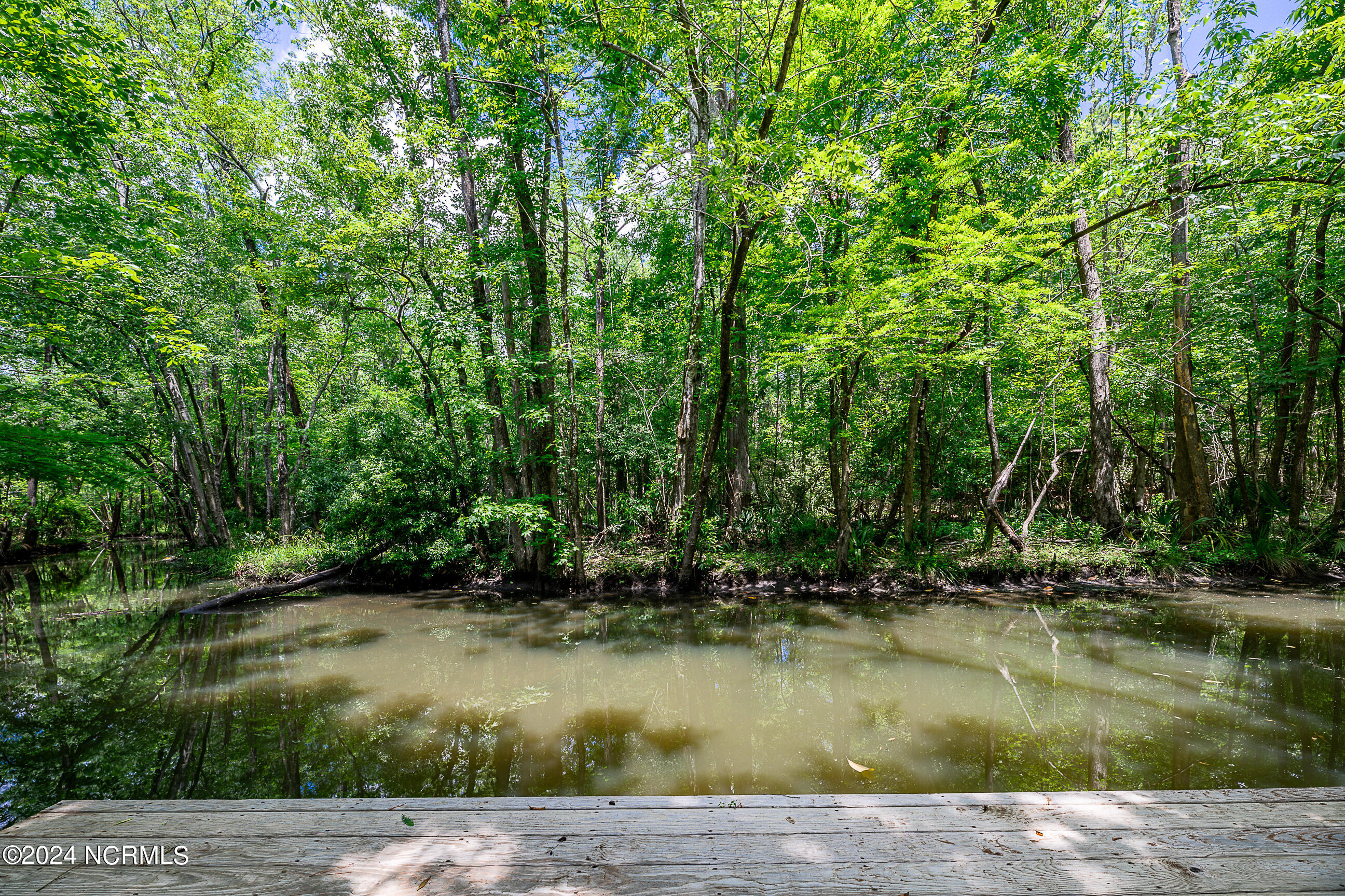 306 Woodland Drive Property Photo 60