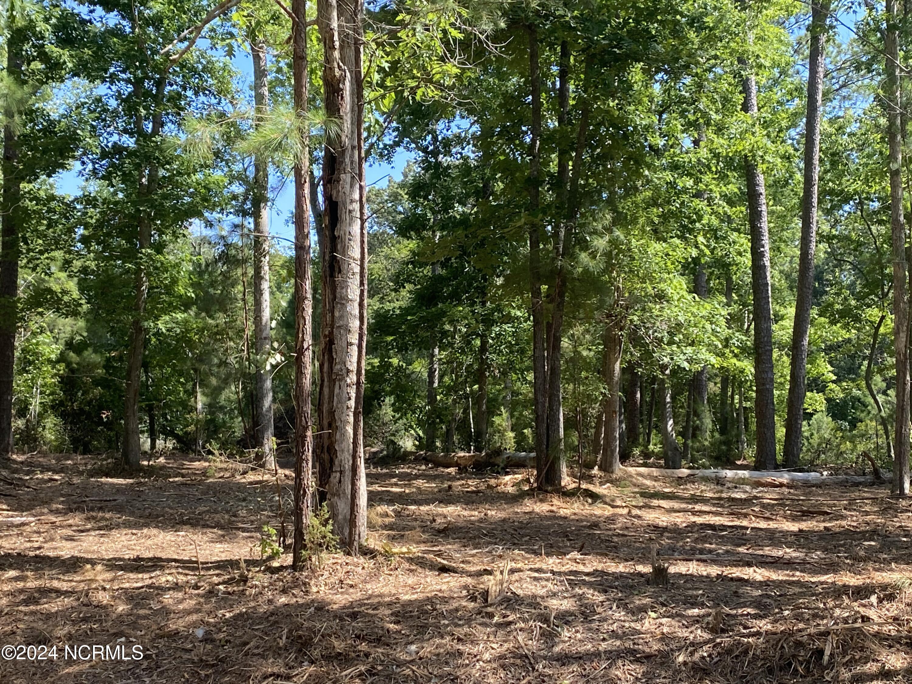 281 96 Winding Creek Drive Property Photo 6