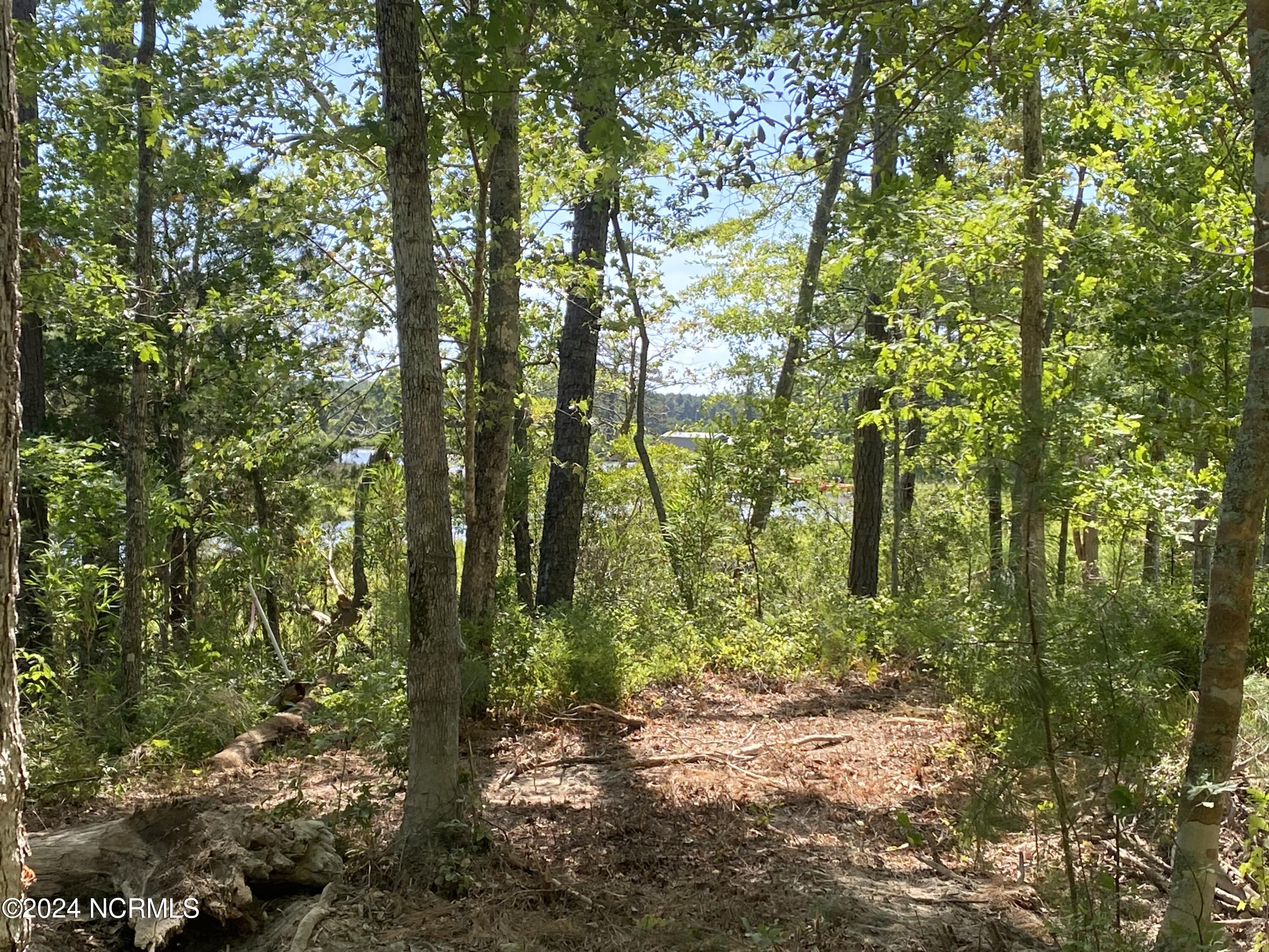 281 96 Winding Creek Drive Property Photo 8