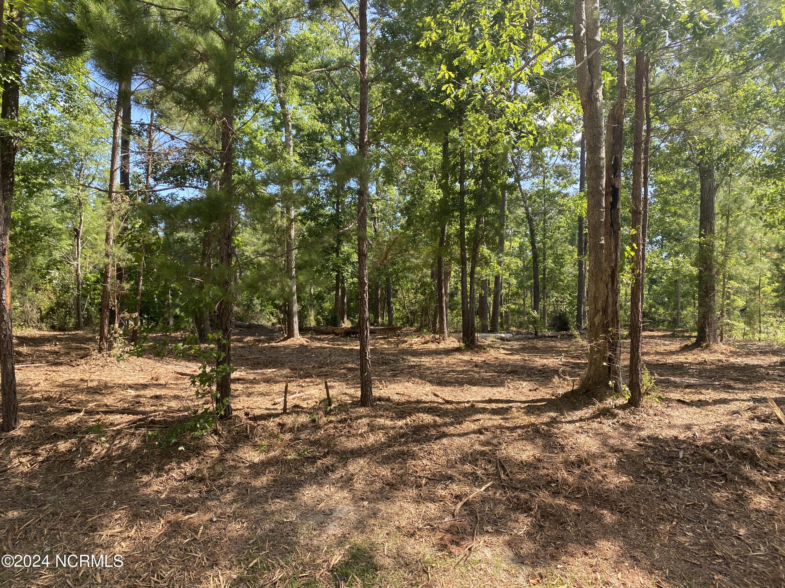 281 96 Winding Creek Drive Property Photo 19