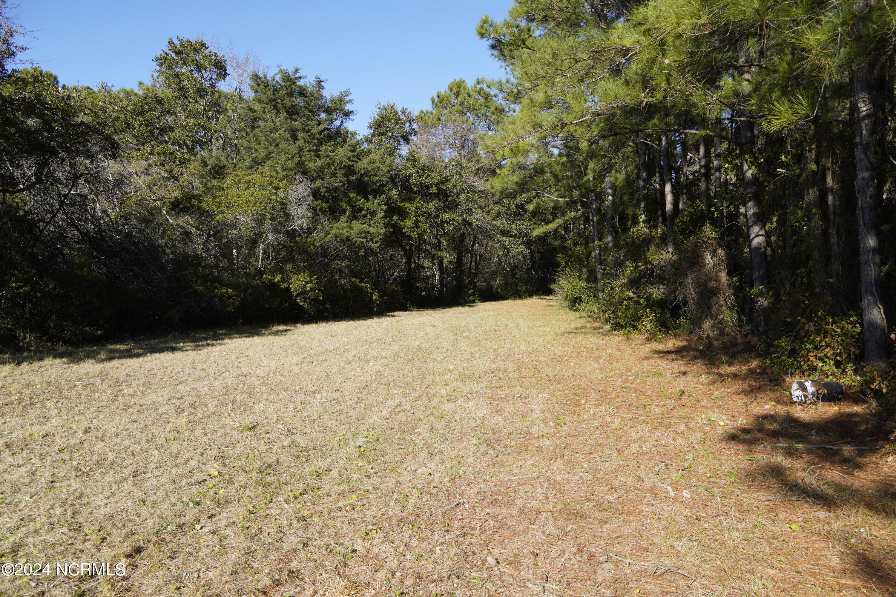 351 Queens Creek Road Property Photo 28