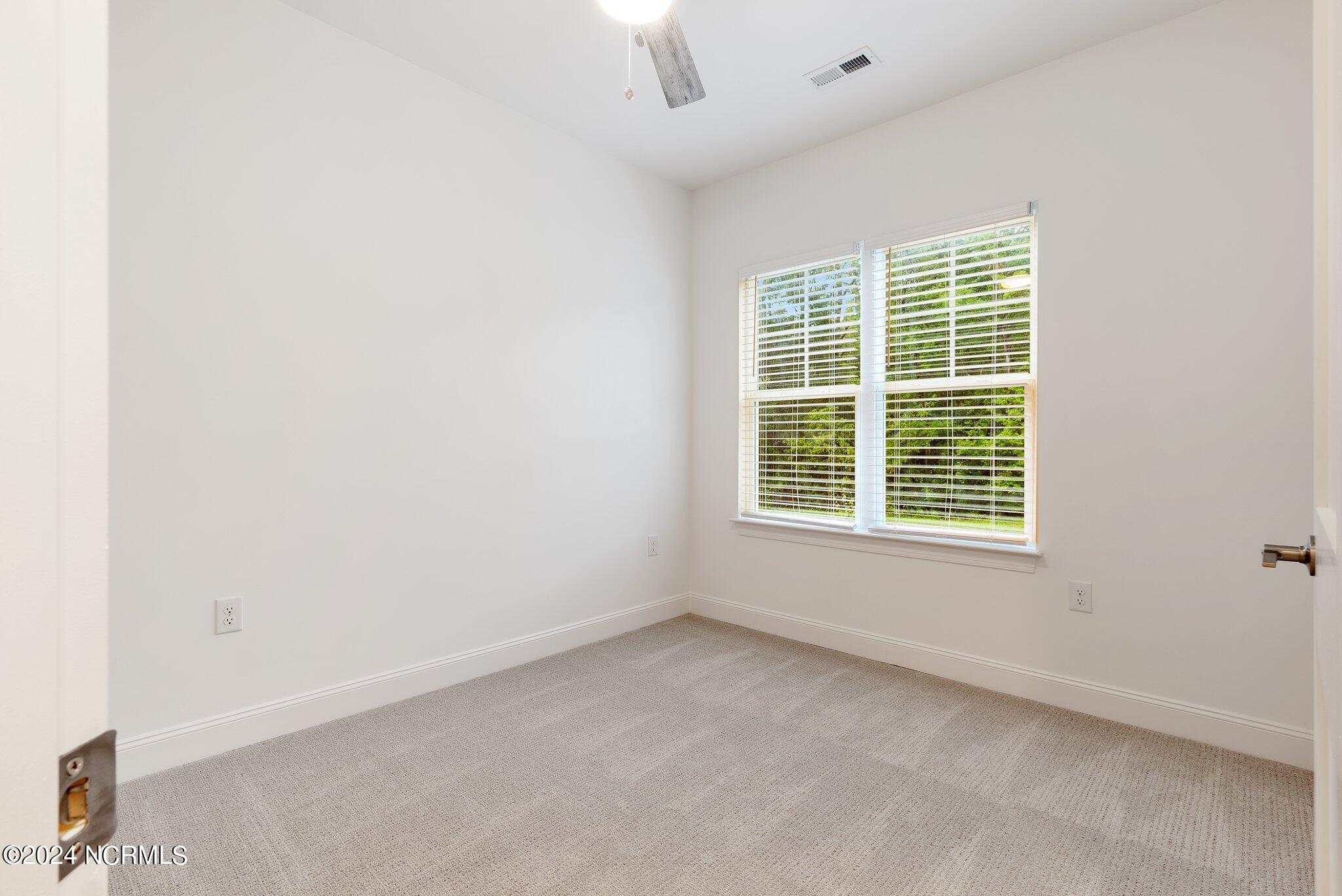 391 James Street Property Photo 23