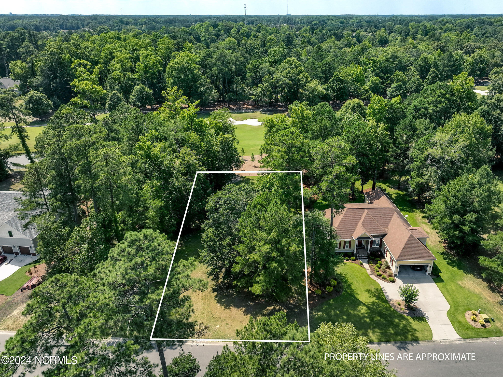 228 Sycamore Forest Drive Property Photo 1