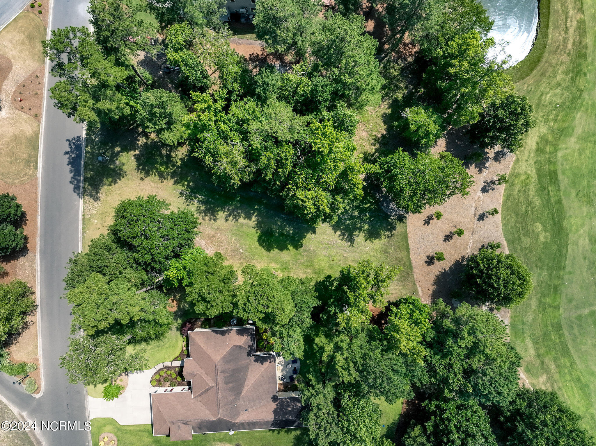 228 Sycamore Forest Drive Property Photo 3