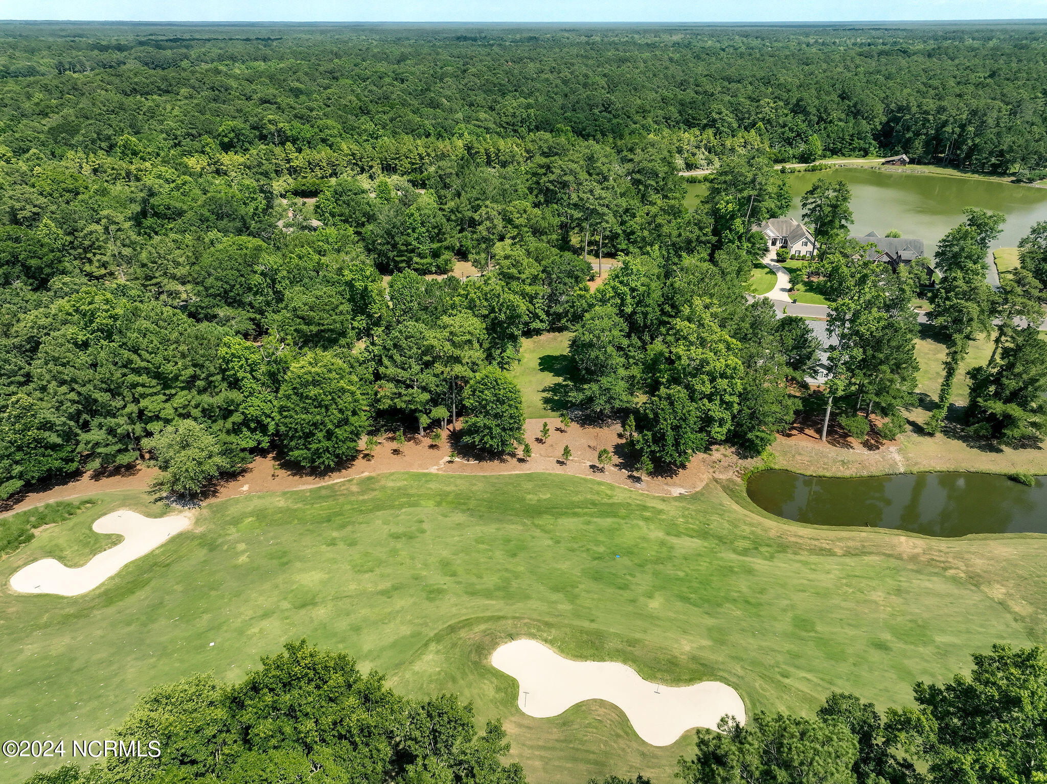228 Sycamore Forest Drive Property Photo 4