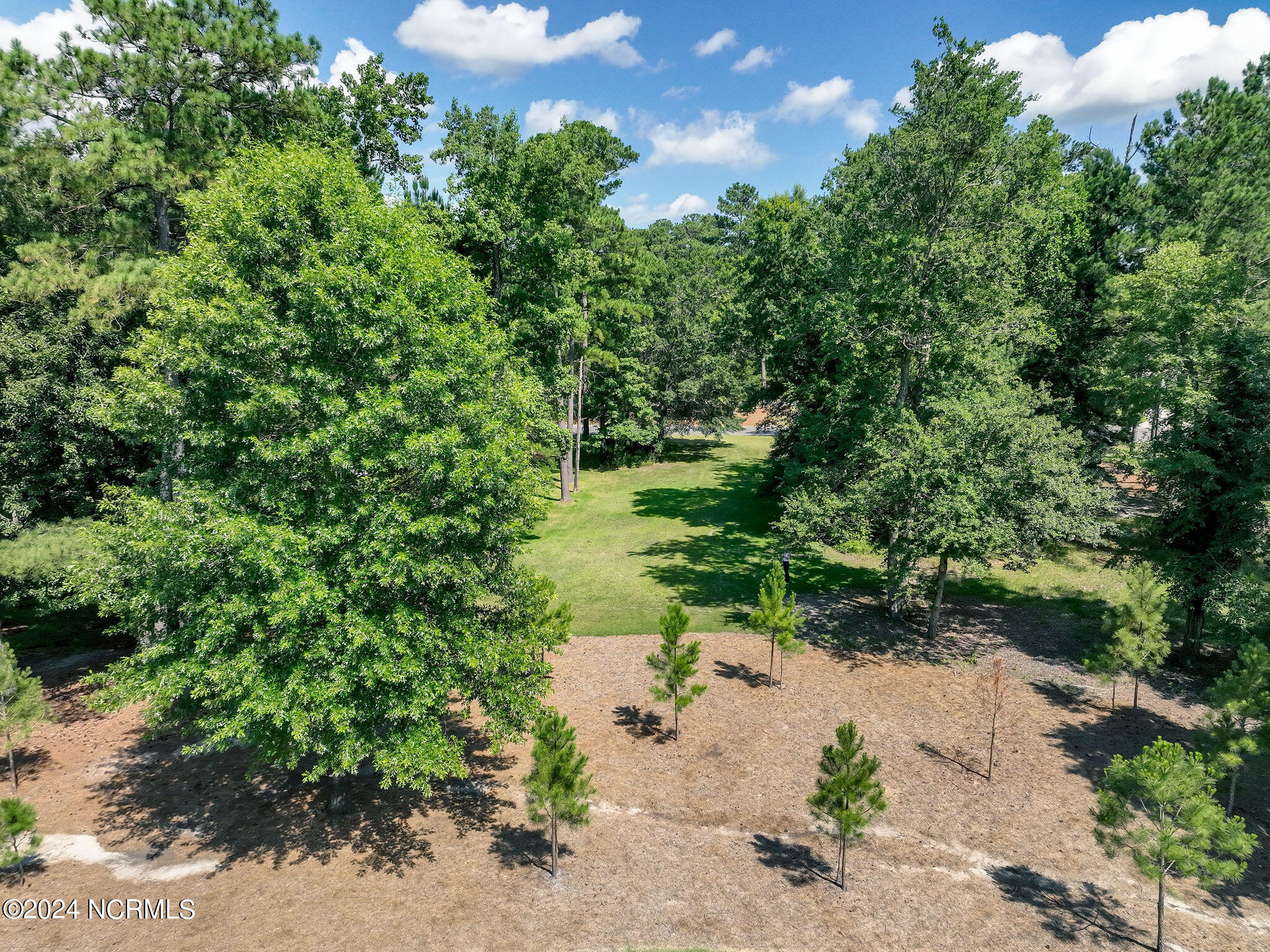 228 Sycamore Forest Drive Property Photo 6