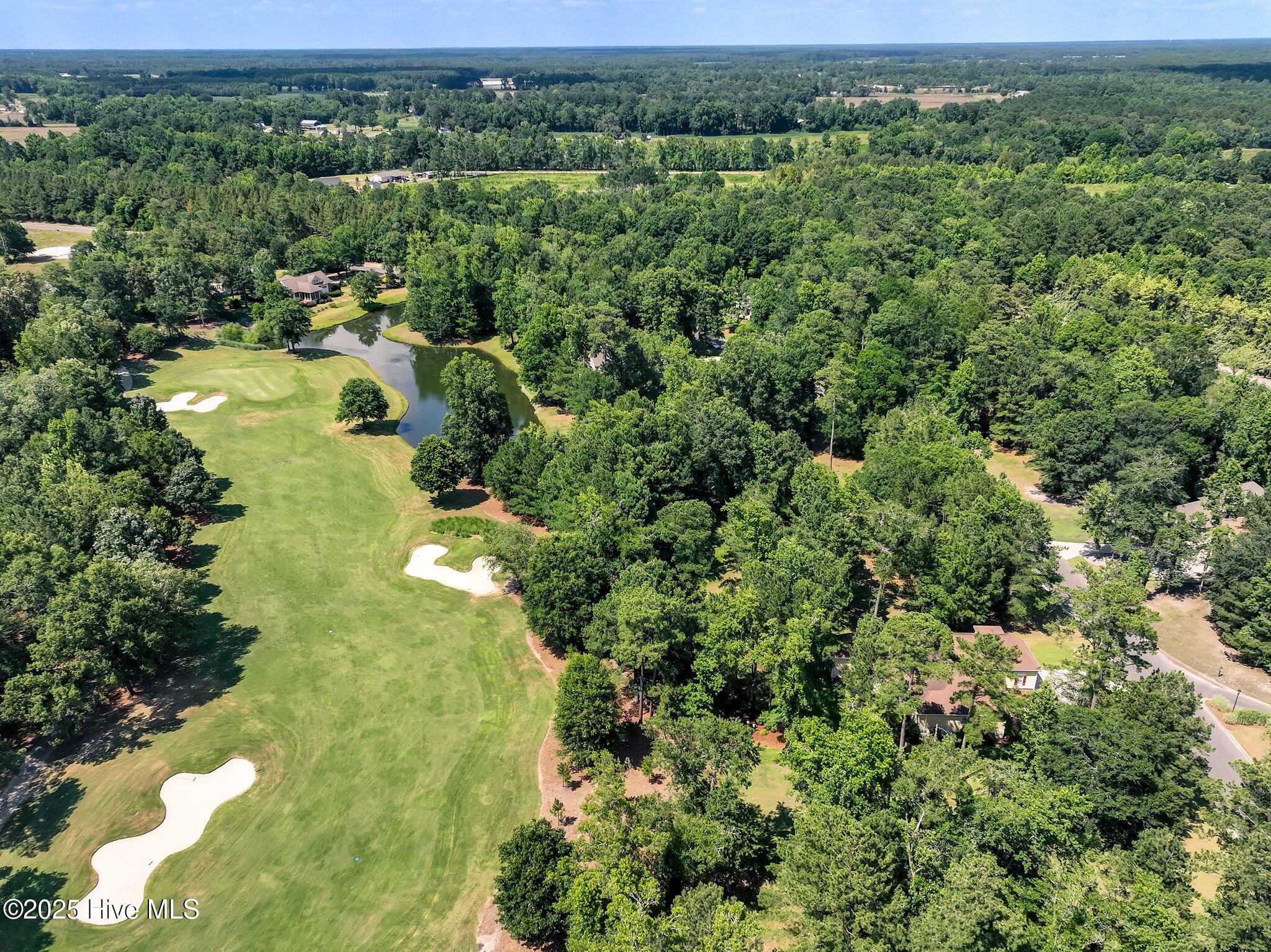 228 Sycamore Forest Drive Property Photo 8
