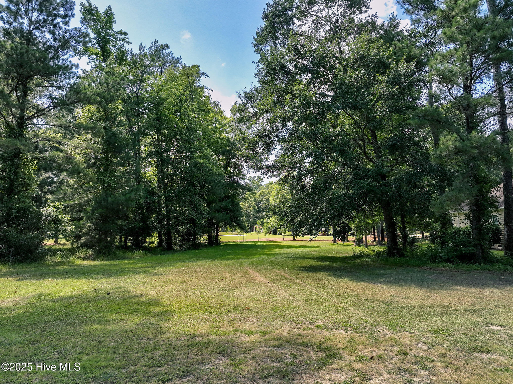 228 Sycamore Forest Drive Property Photo 9