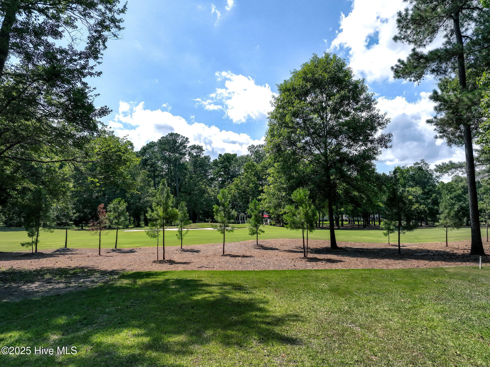 228 Sycamore Forest Drive Property Photo 10