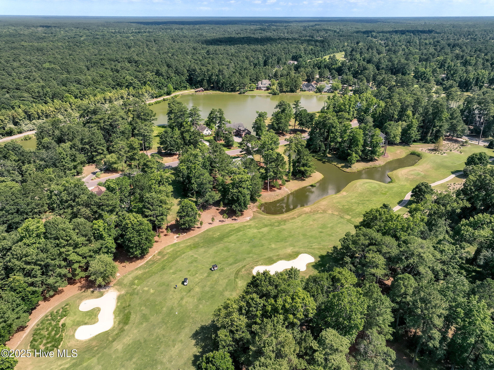 228 Sycamore Forest Drive Property Photo 11
