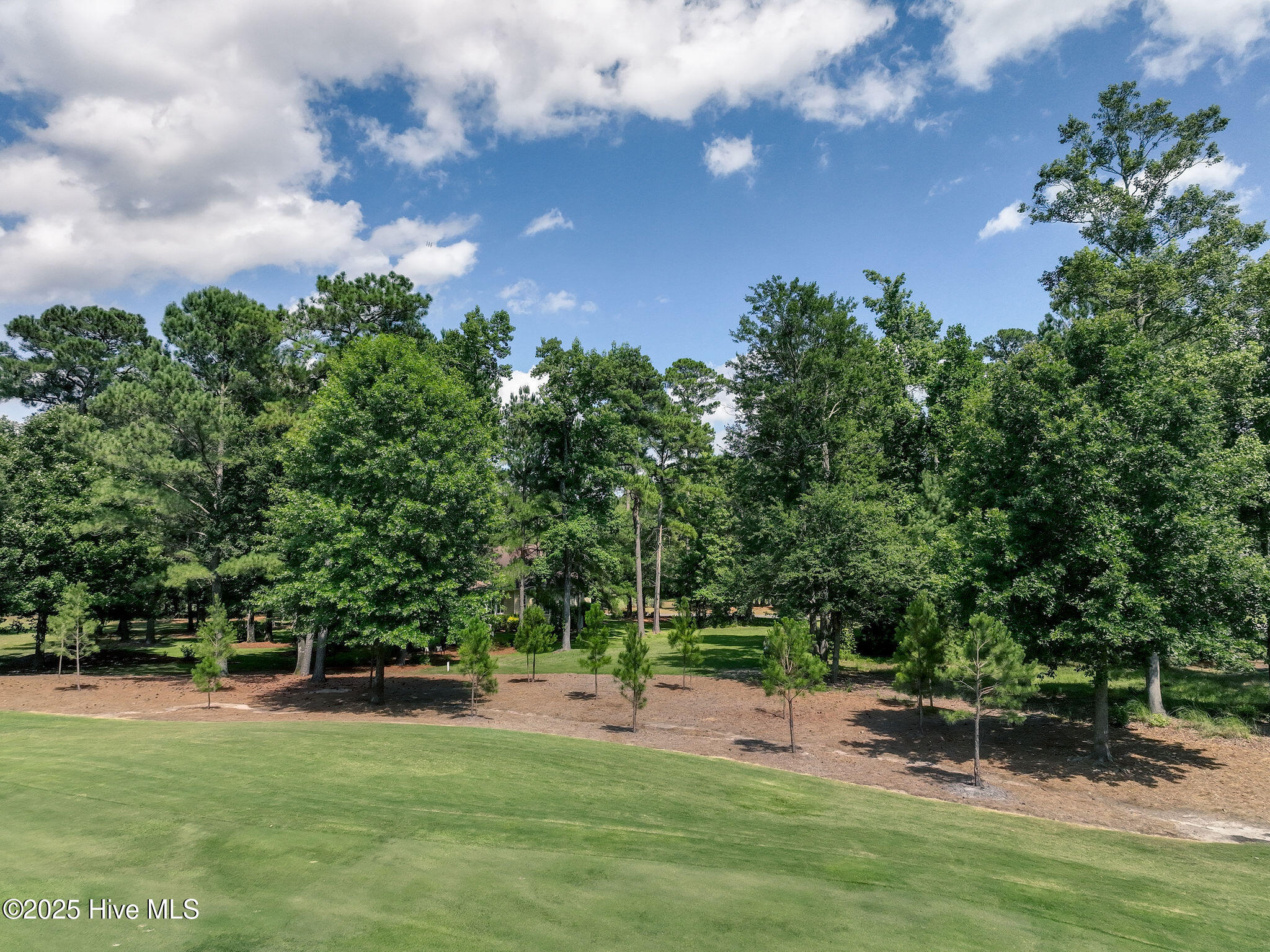 228 Sycamore Forest Drive Property Photo 12
