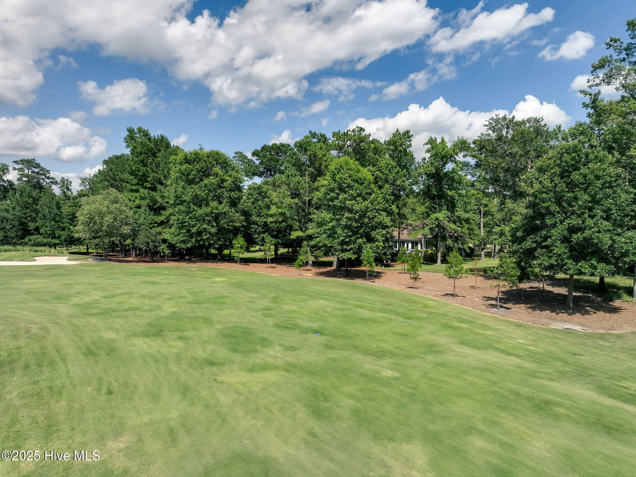 228 Sycamore Forest Drive Property Photo 13