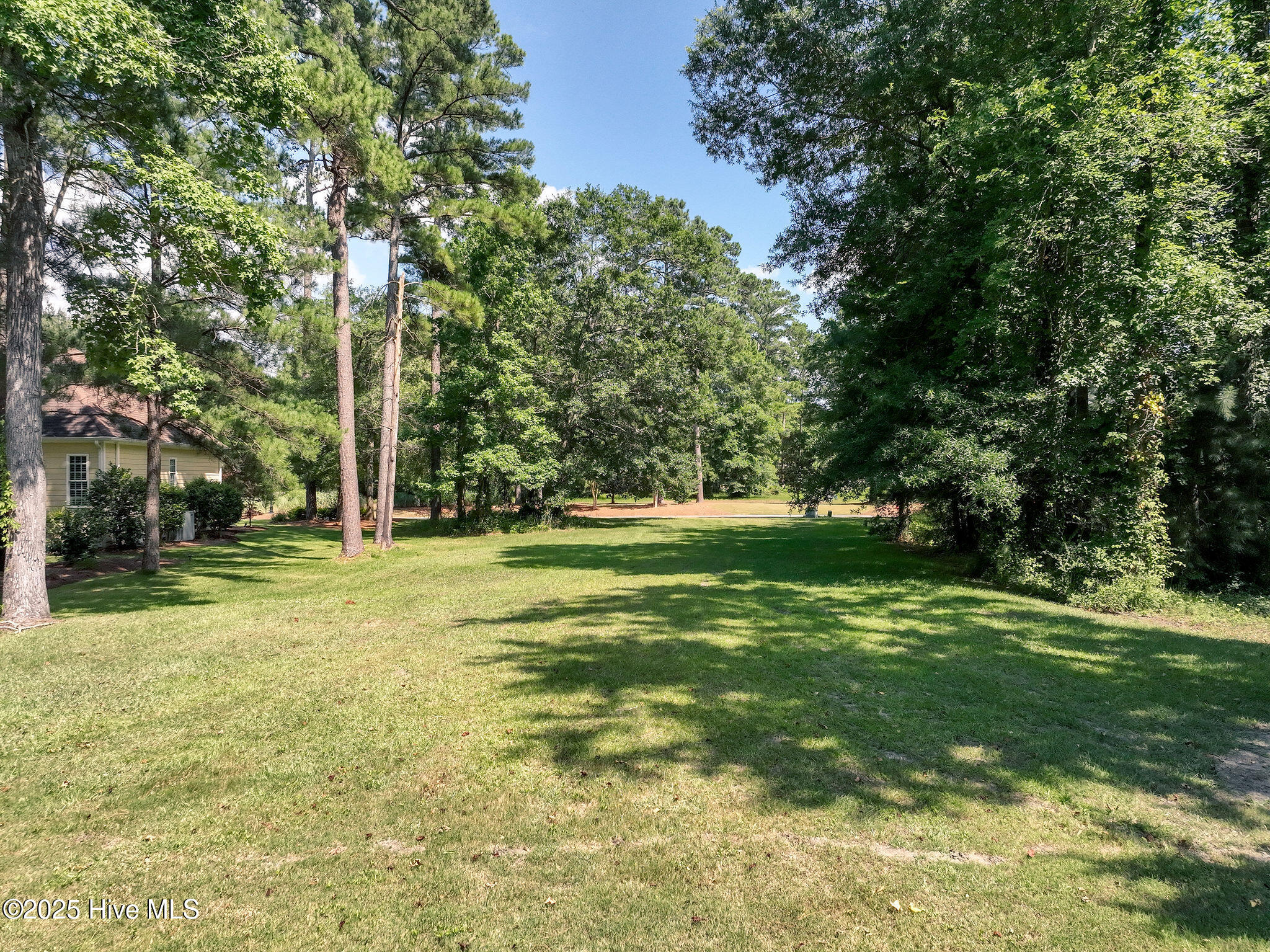 228 Sycamore Forest Drive Property Photo 14