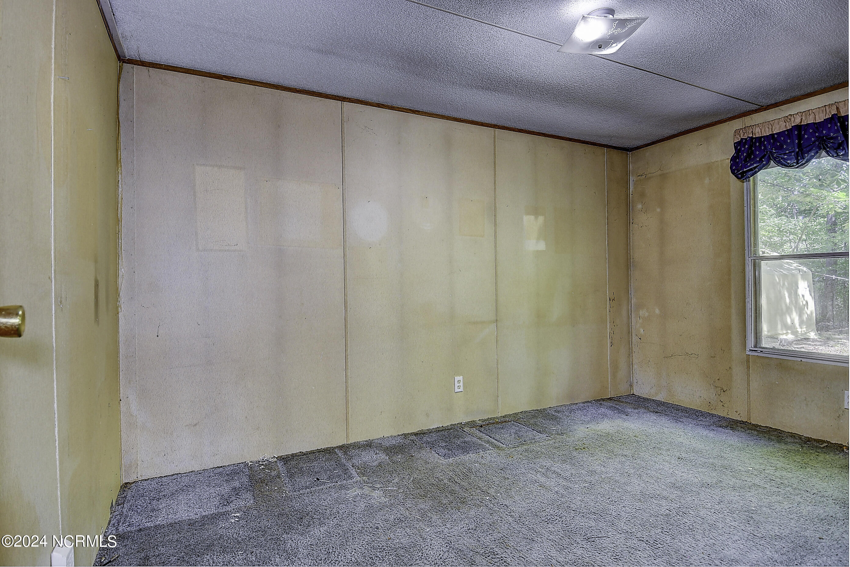 224 Newbern Drive Property Photo 18