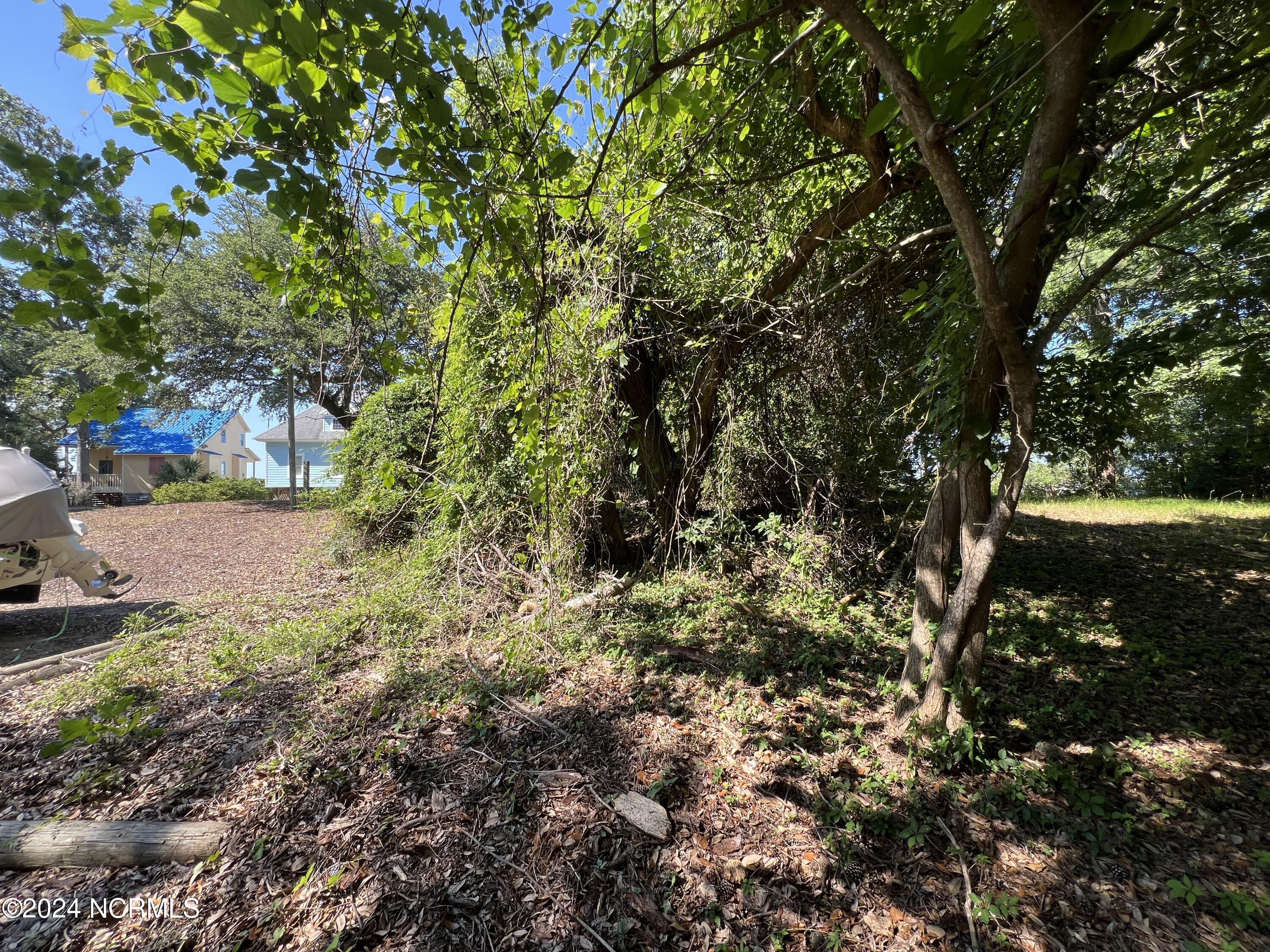 443 Kitty Hawk Bay Drive Property Photo 3
