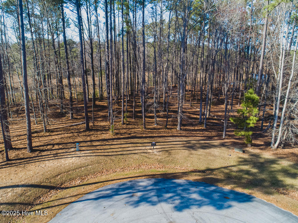 213 Golden Fern Lane Property Photo 3