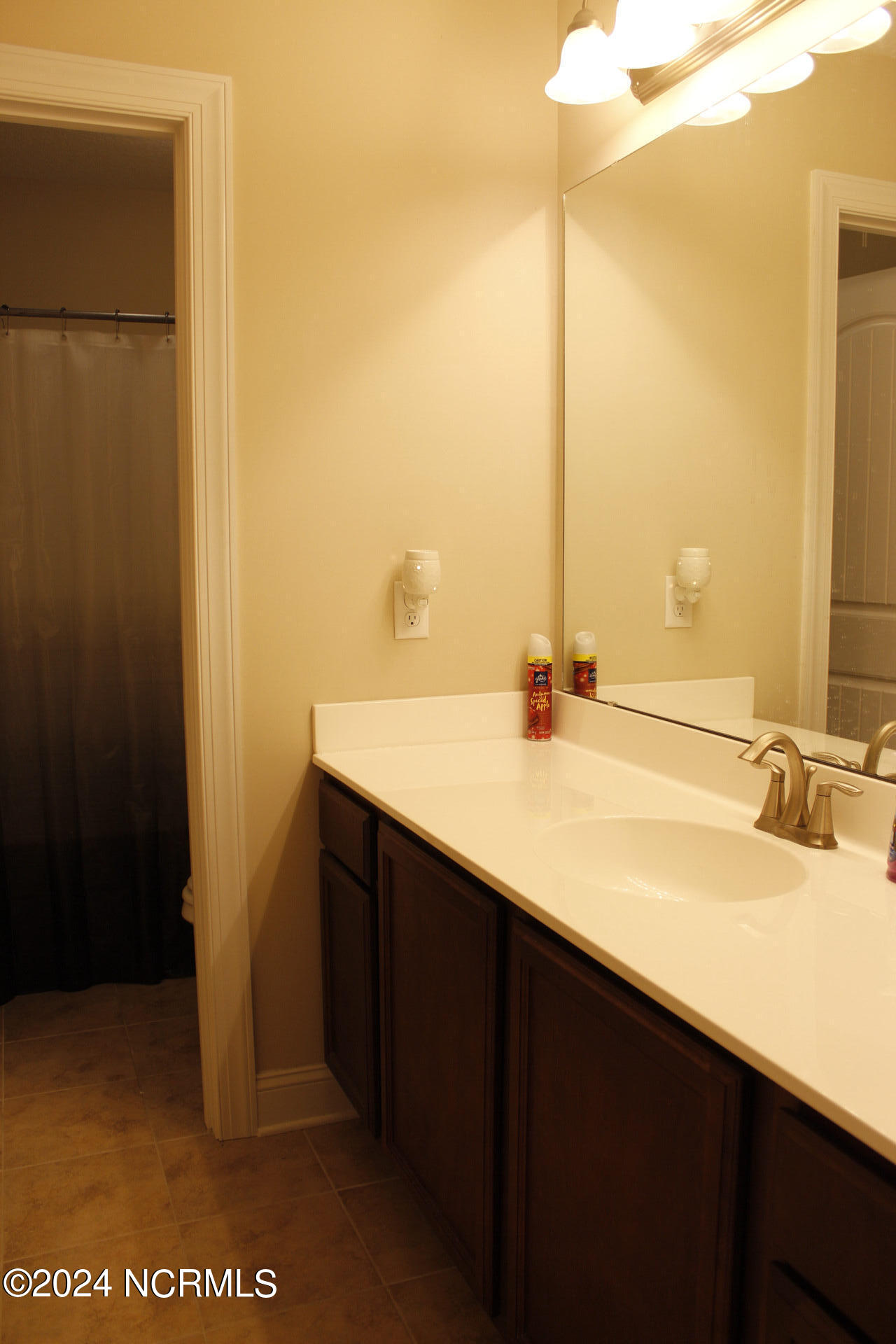 206 Messenger Court Property Photo 22