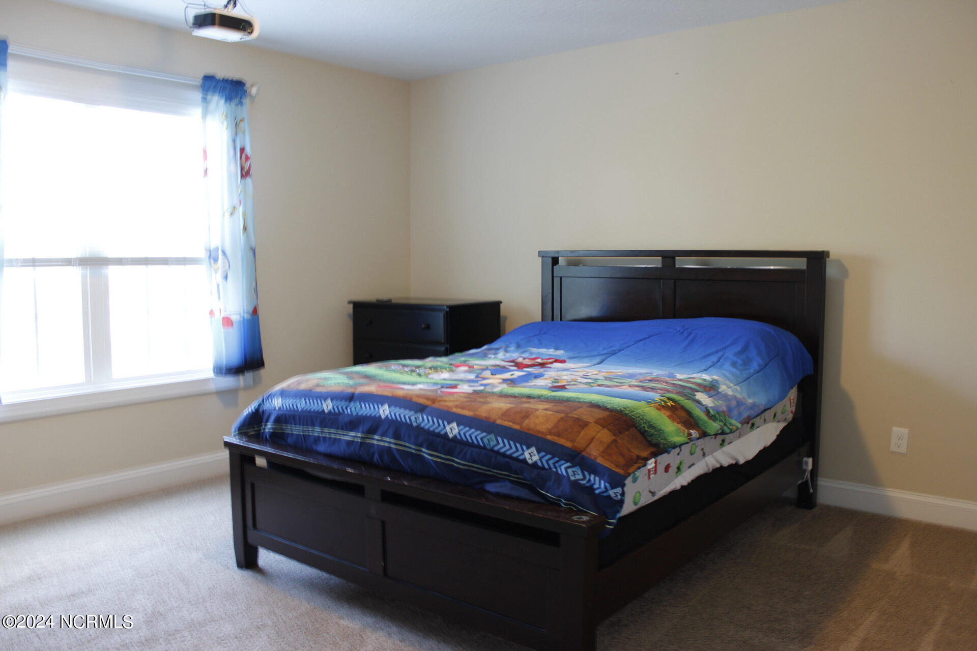 206 Messenger Court Property Photo 25