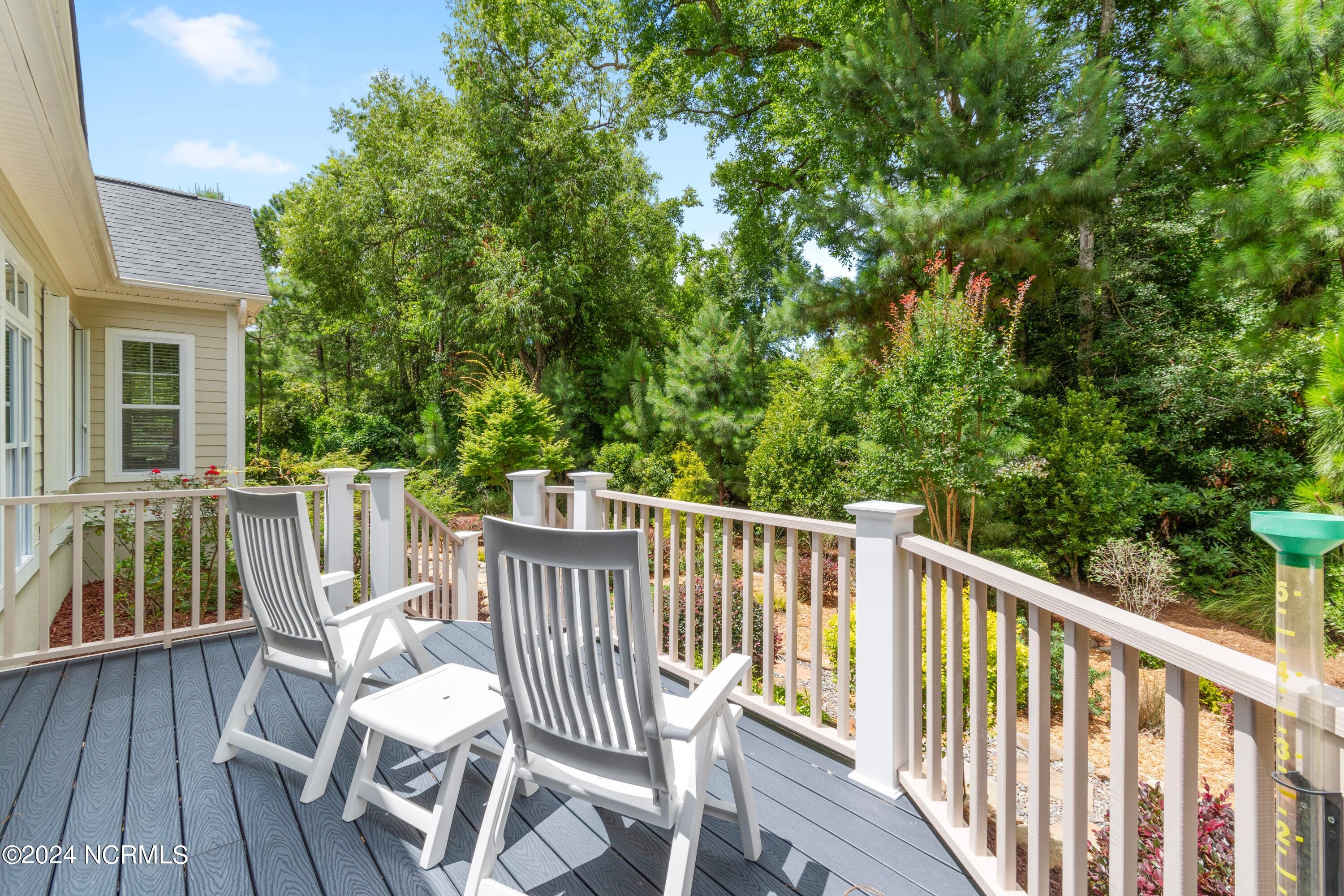 3907 Sand Hickory Lane Property Photo 54