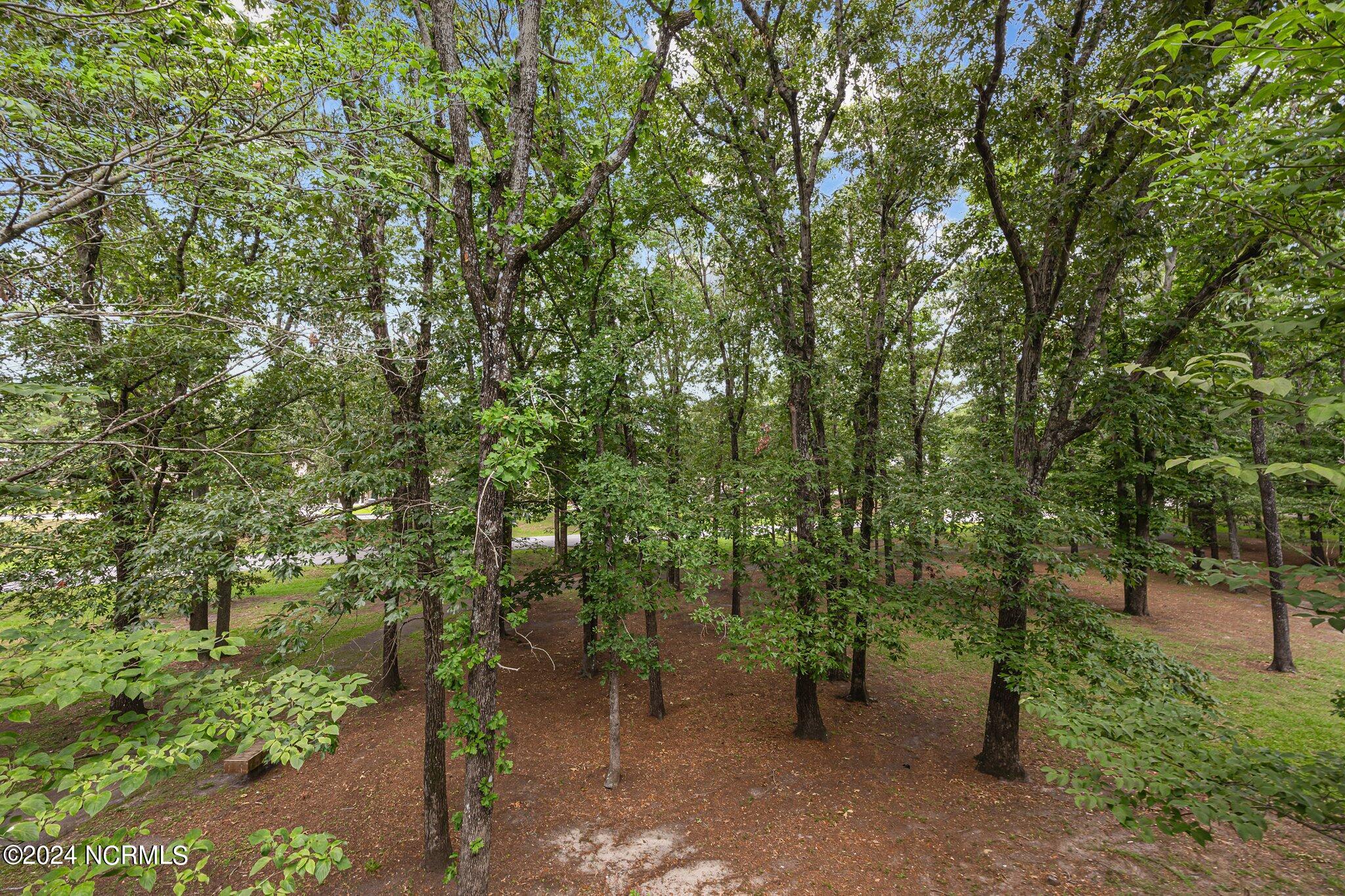 1510 Harbourside Drive Property Photo 28