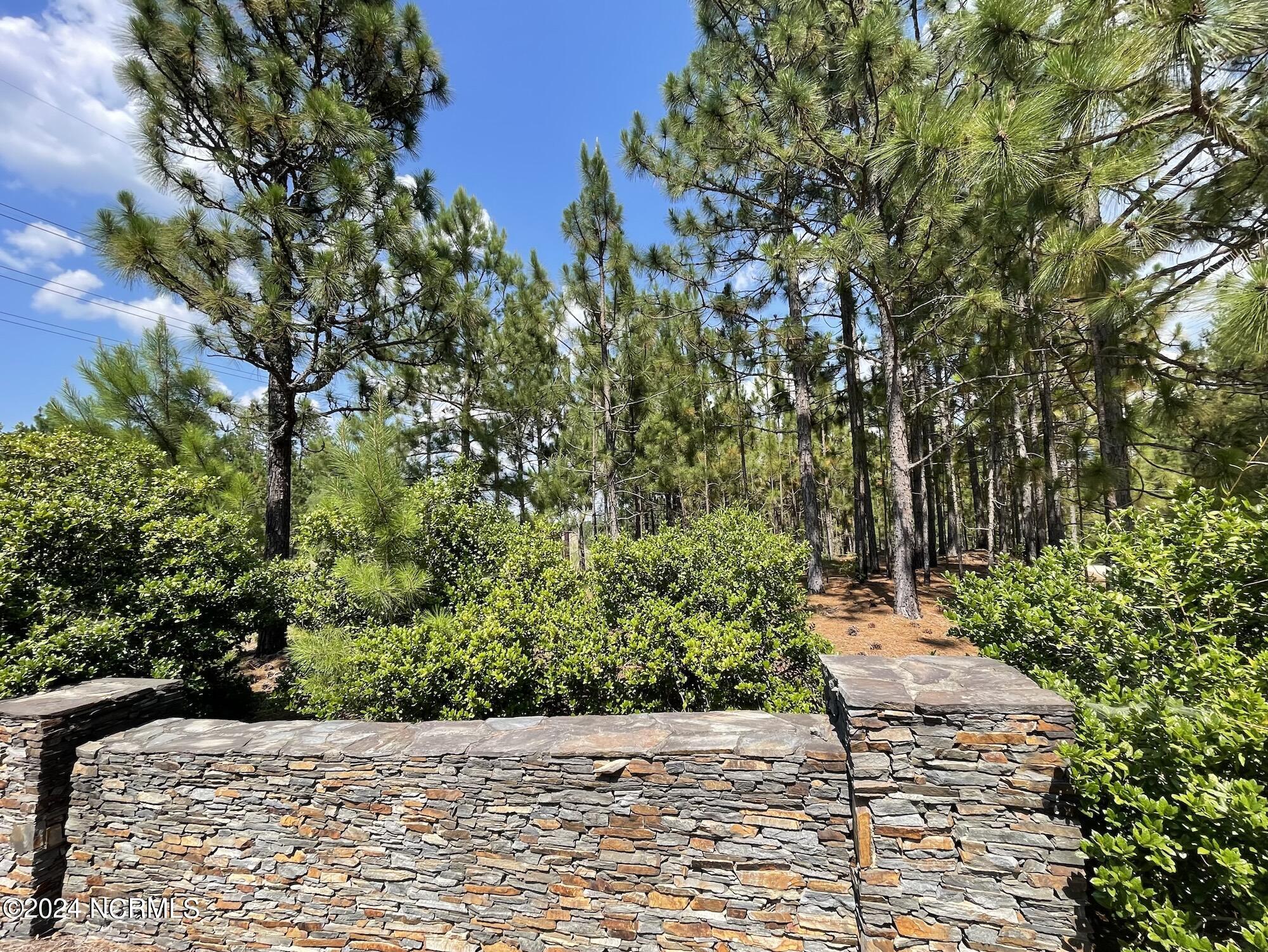 Lot 3 Meredith Lane Property Photo