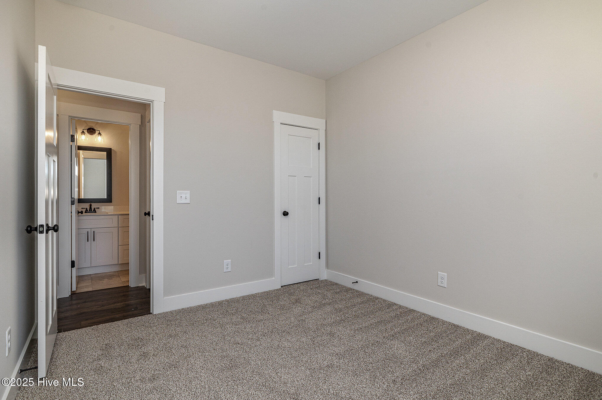 48 Tanseyleaf Drive Property Photo 22