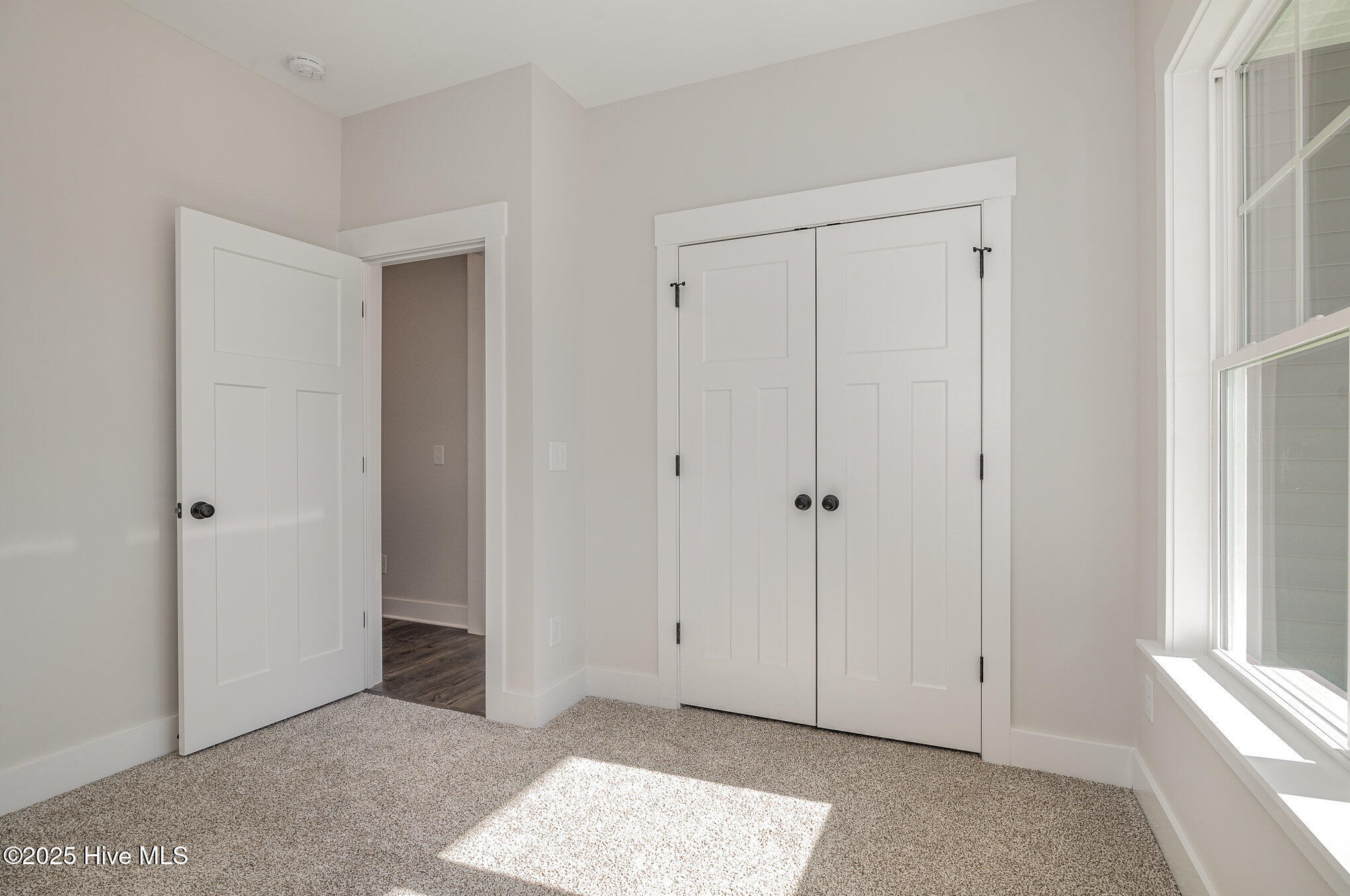 198 Ruskin Drive Property Photo 19