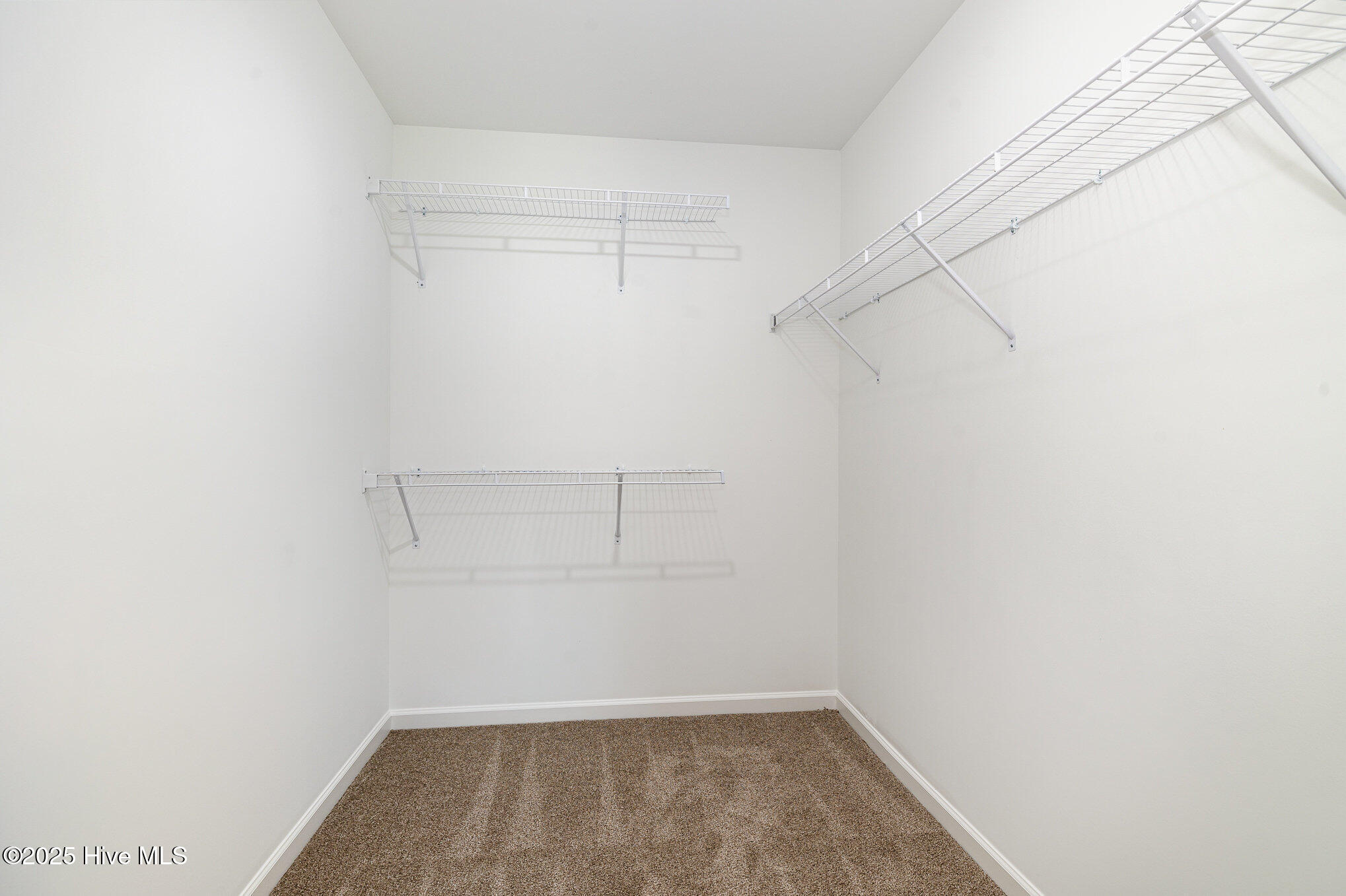 104 Burnello Court Property Photo 12