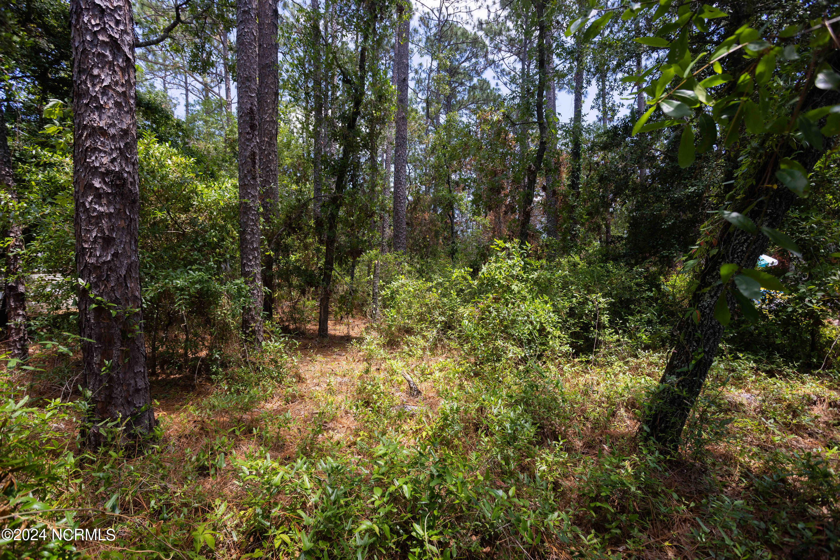 Lot 546 Redwood Road Property Photo 5