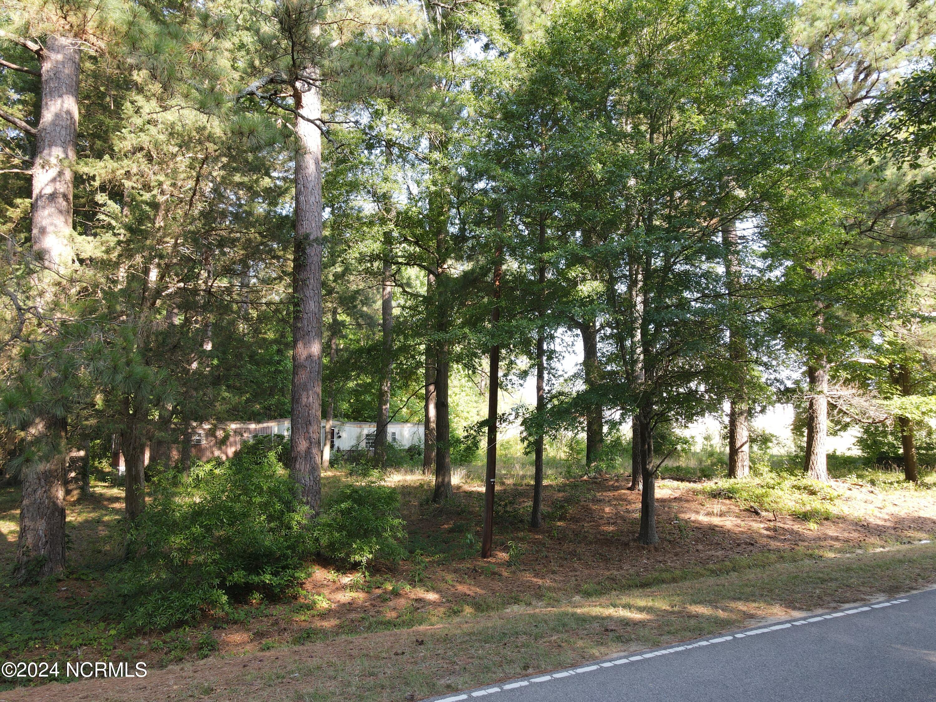 4017 Lizard Lick Road Property Photo 1