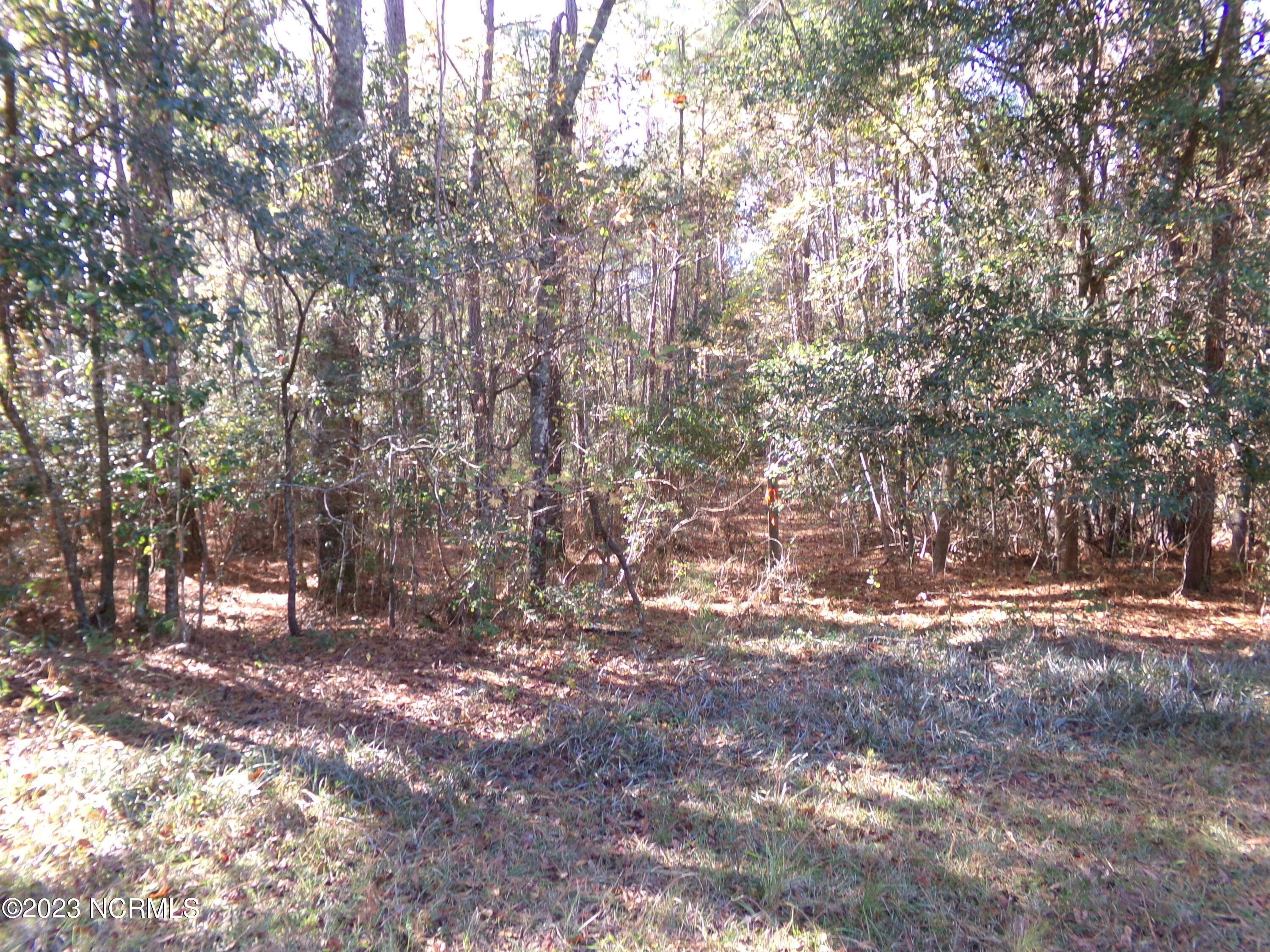 . Near 242 Murphy Lane Property Photo 2
