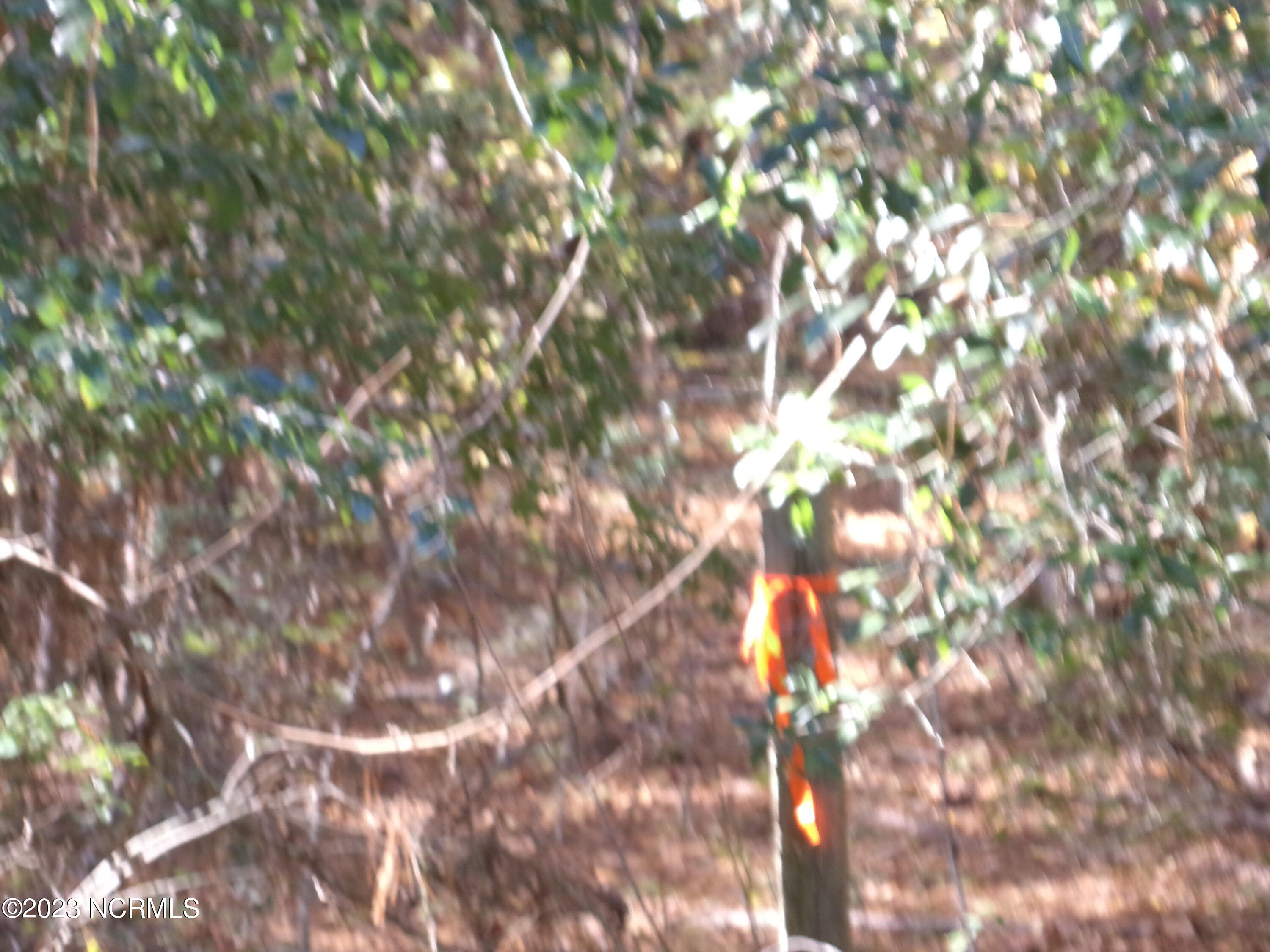 . Near 242 Murphy Lane Property Photo 3