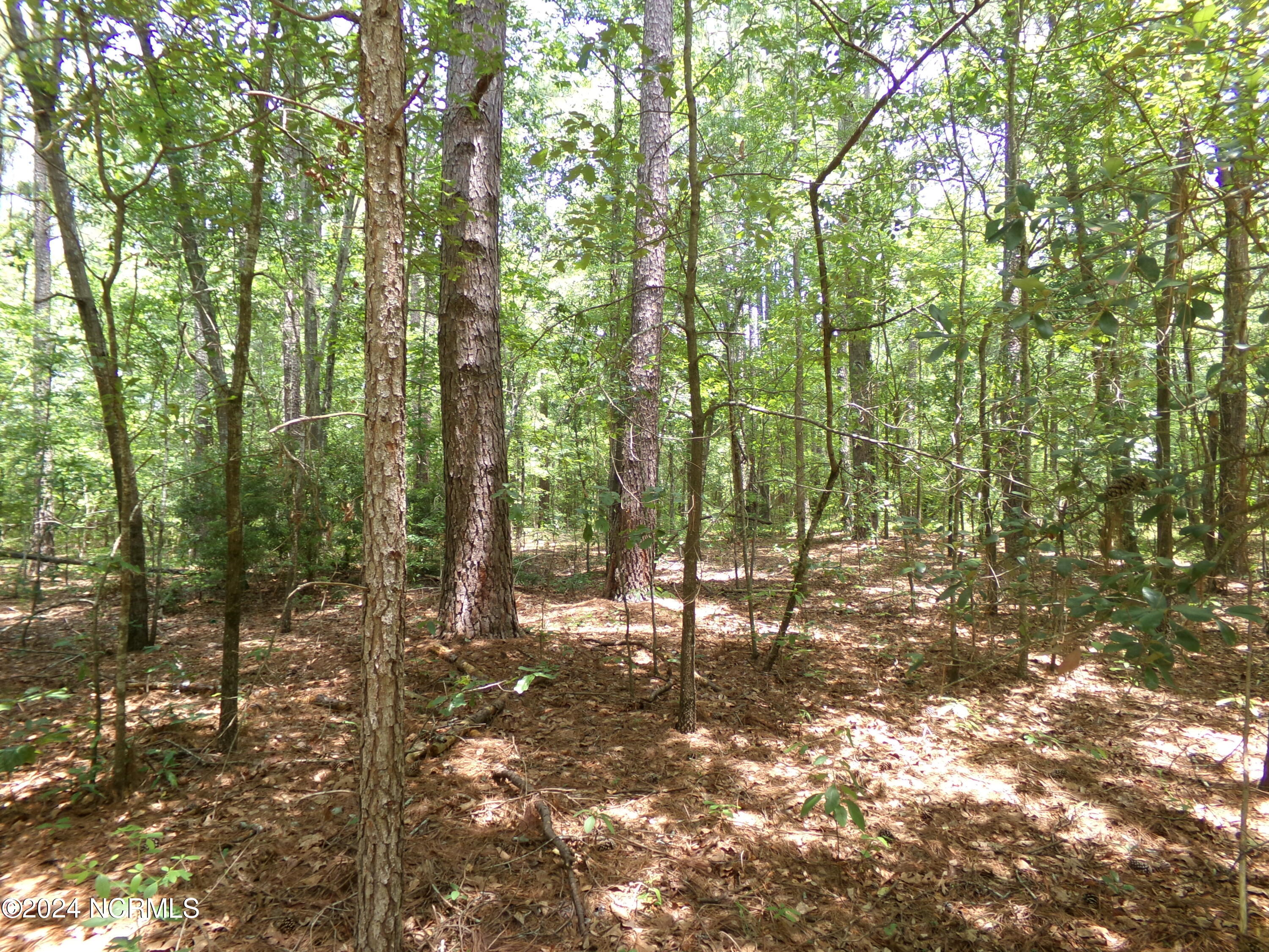 Near 19400 Arch Mcleod Road Property Photo