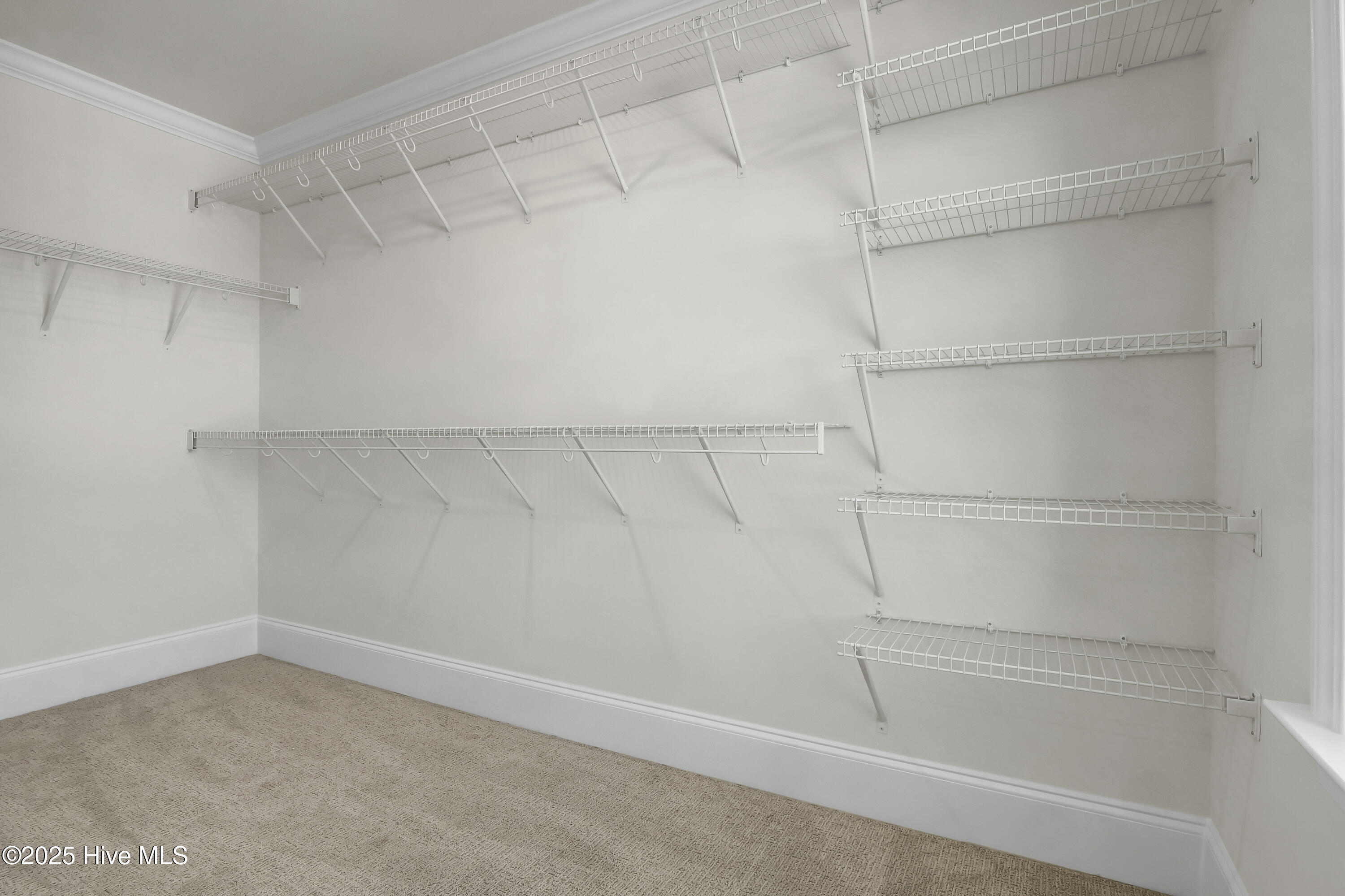 118 Planters Walk Property Photo 41