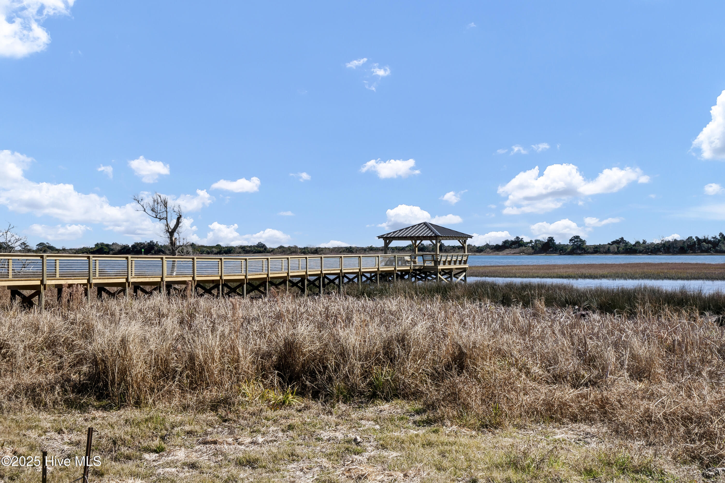 118 Planters Walk Property Photo 64