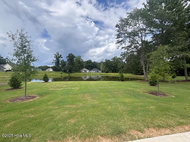 161 Firethorn Circle Property Photo 18